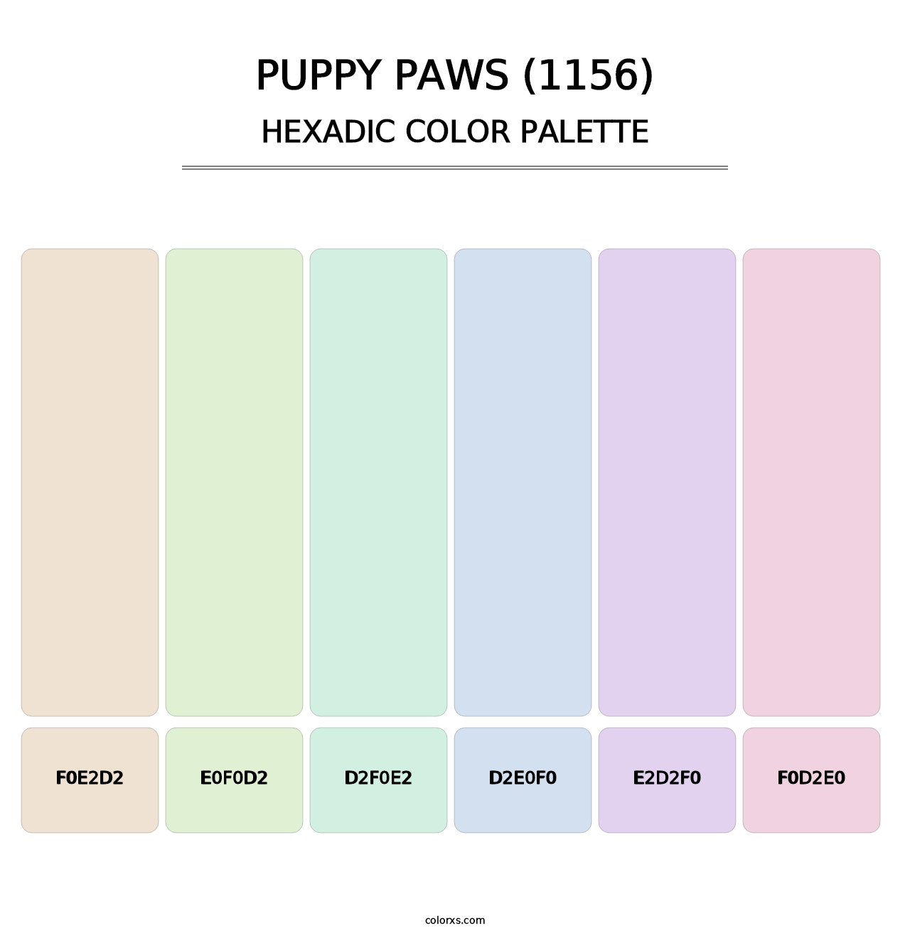 Puppy Paws (1156) - Hexadic Color Palette