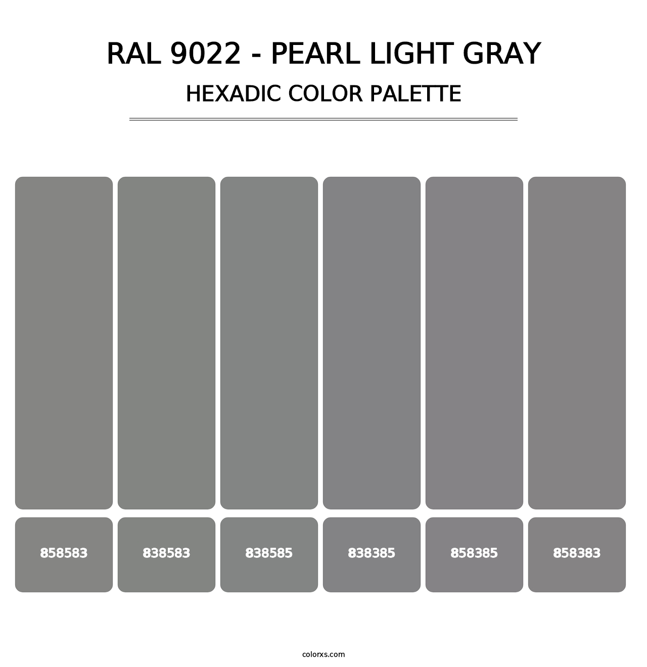RAL 9022 - Pearl Light Gray - Hexadic Color Palette