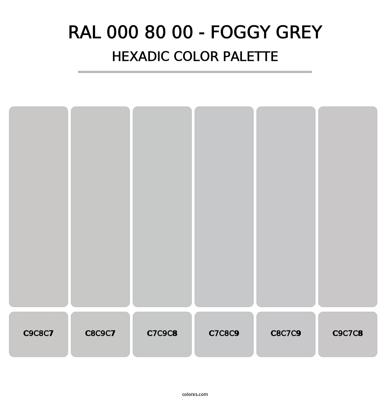 RAL 000 80 00 - Foggy Grey - Hexadic Color Palette