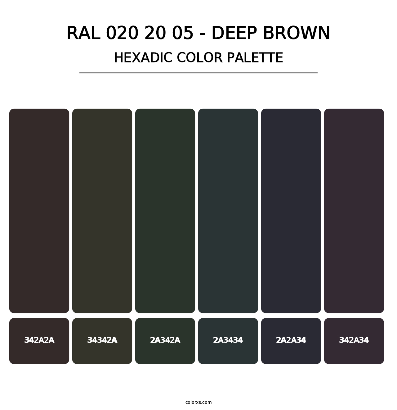 RAL 020 20 05 - Deep Brown - Hexadic Color Palette