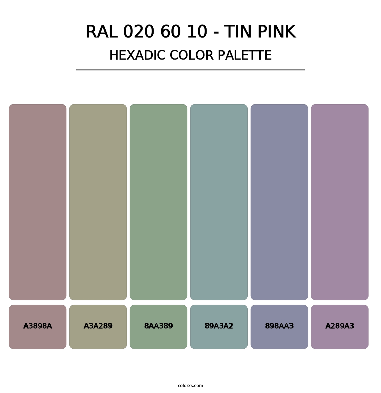 RAL 020 60 10 - Tin Pink - Hexadic Color Palette