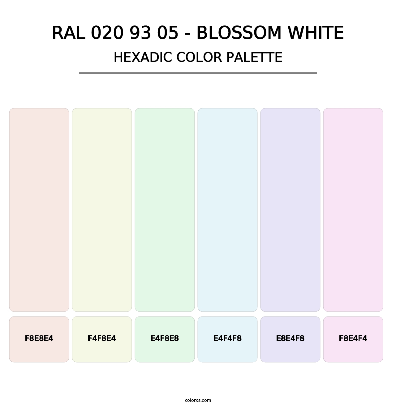 RAL 020 93 05 - Blossom White - Hexadic Color Palette