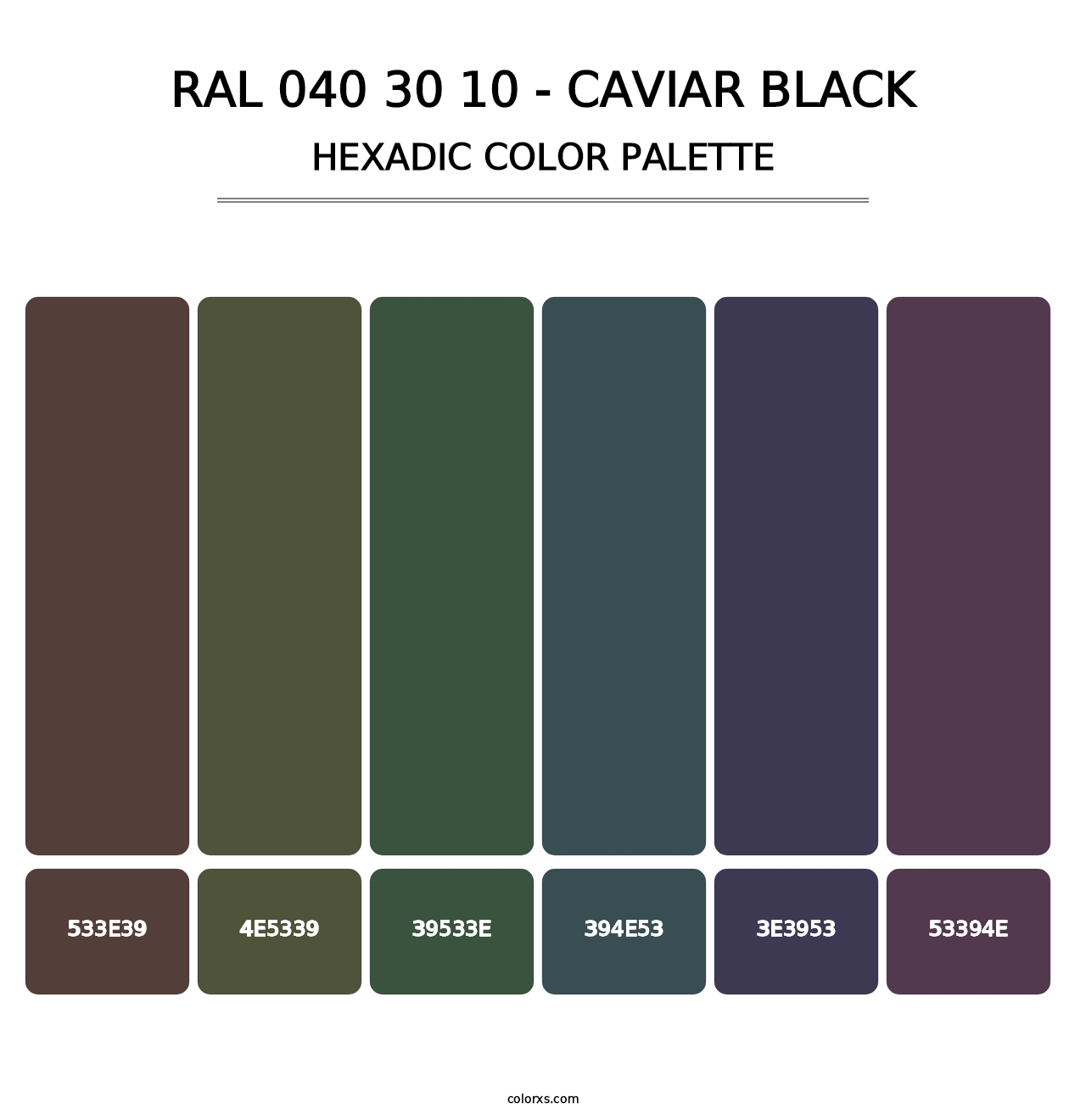 RAL 040 30 10 - Caviar Black - Hexadic Color Palette