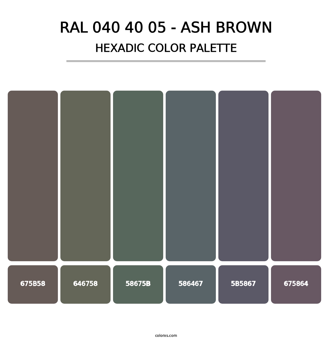 RAL 040 40 05 - Ash Brown - Hexadic Color Palette