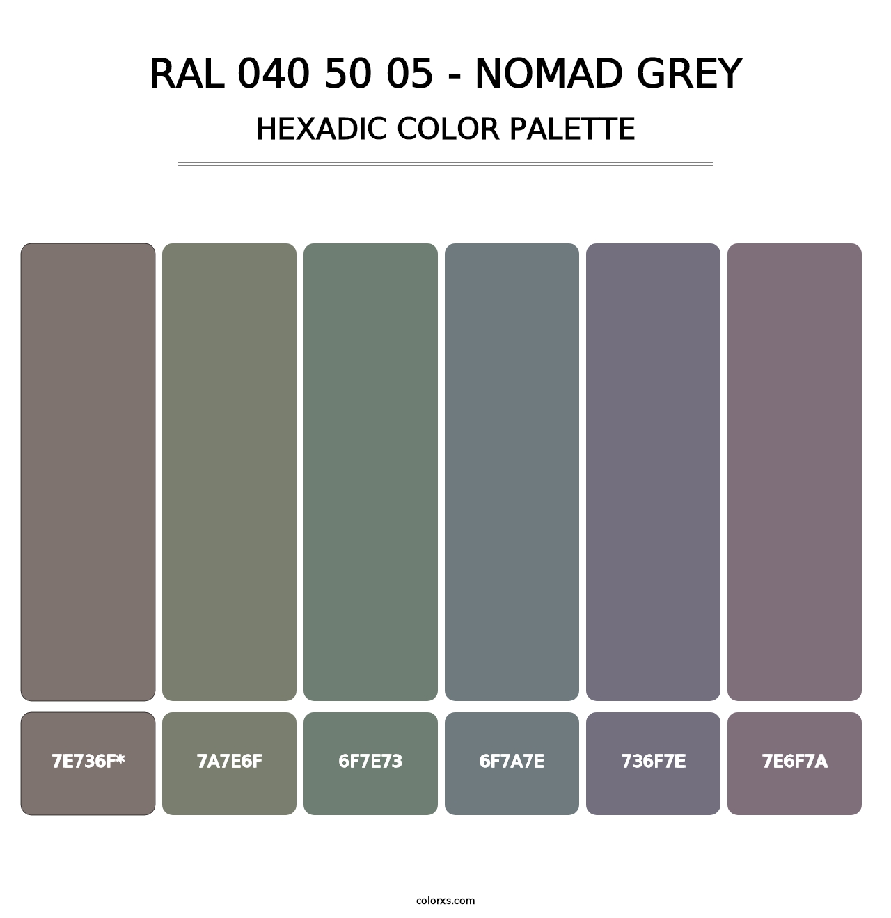 RAL 040 50 05 - Nomad Grey - Hexadic Color Palette
