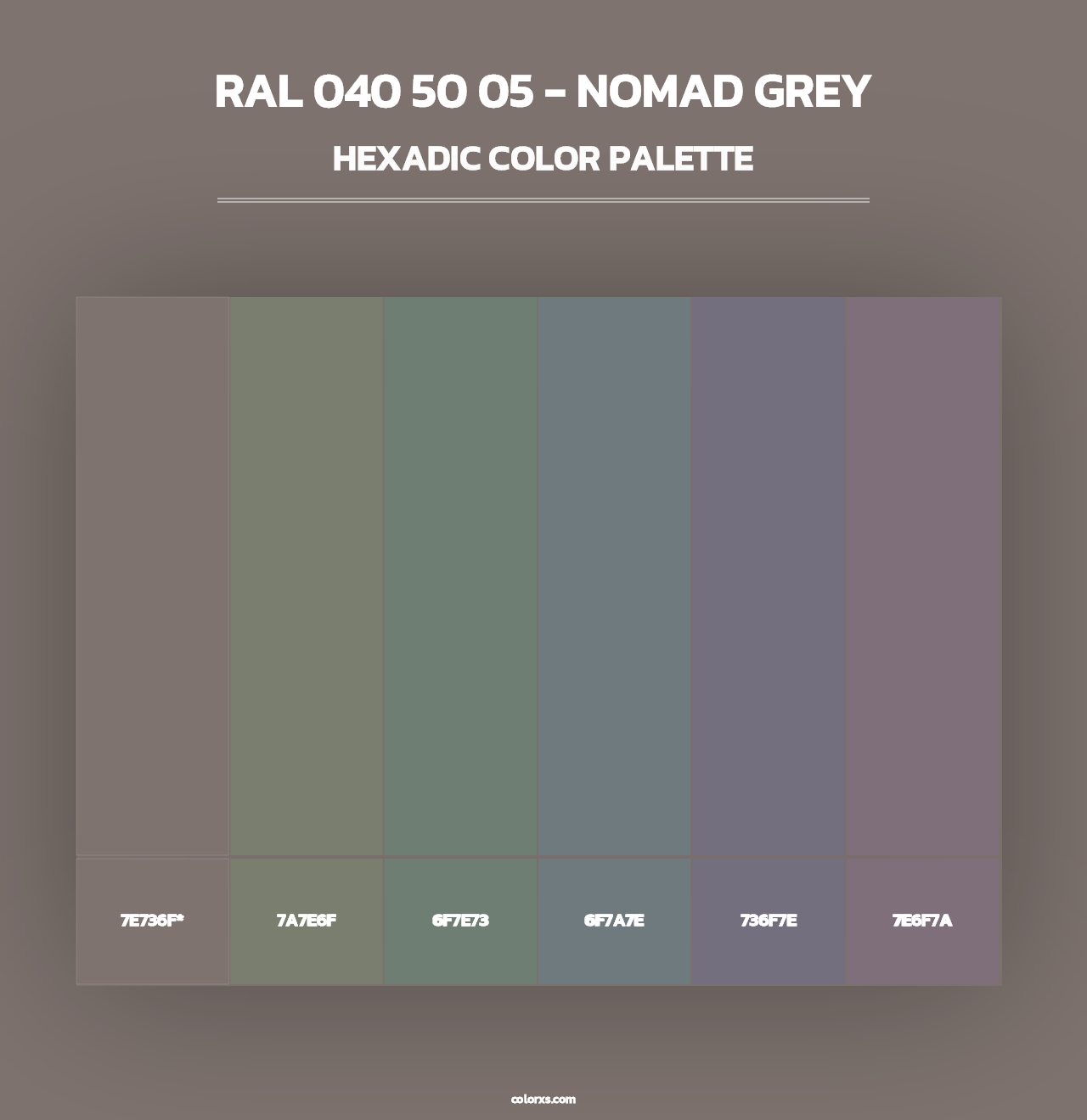 RAL 040 50 05 - Nomad Grey - Hexadic Color Palette