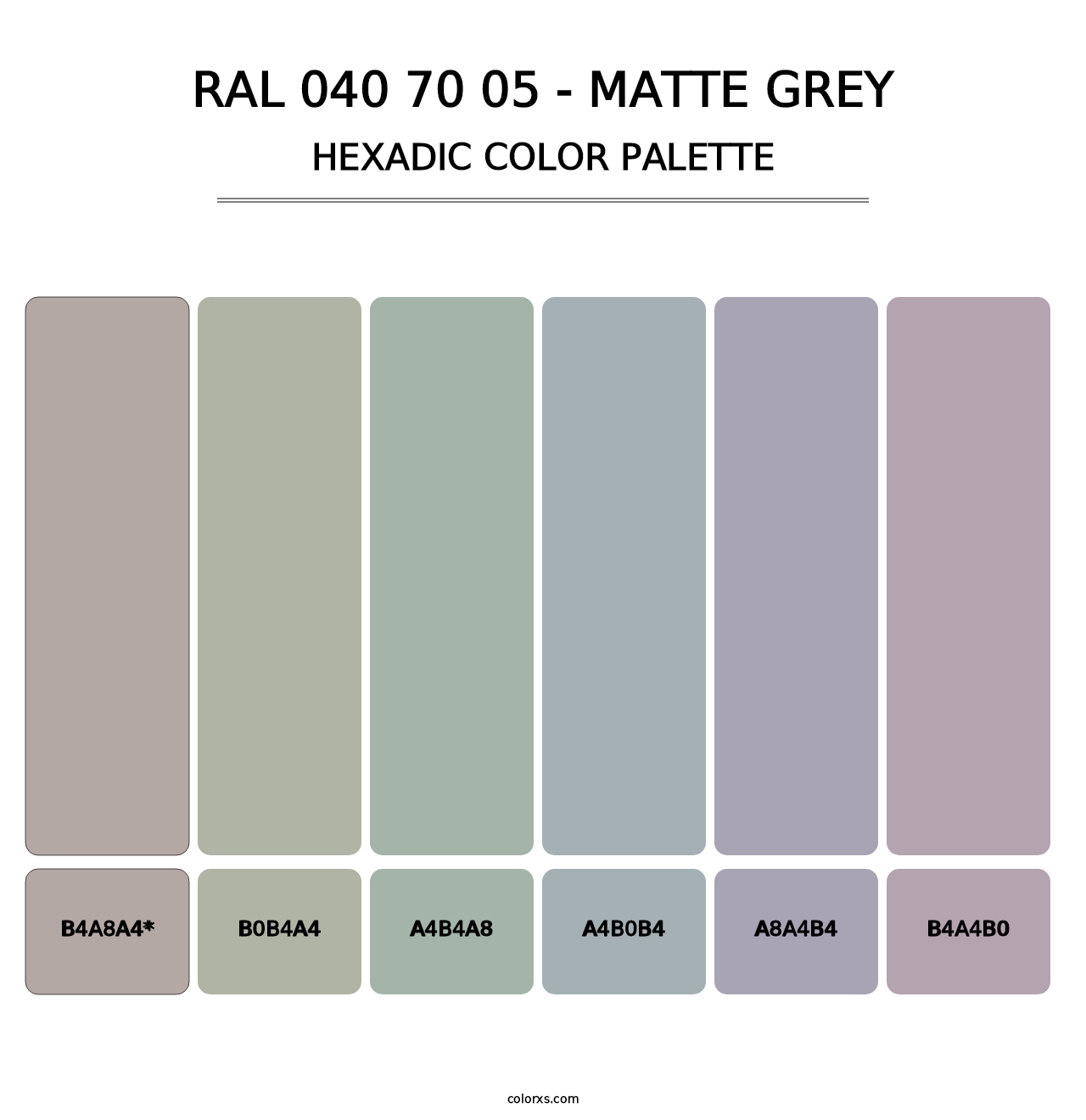 RAL 040 70 05 - Matte Grey - Hexadic Color Palette