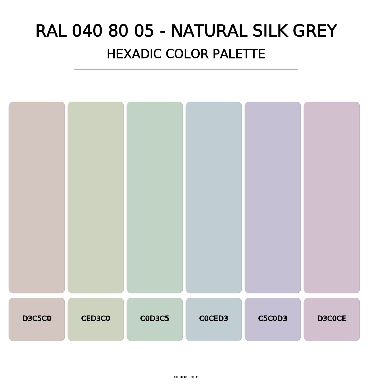 RAL 040 80 05 - Natural Silk Grey - Hexadic Color Palette