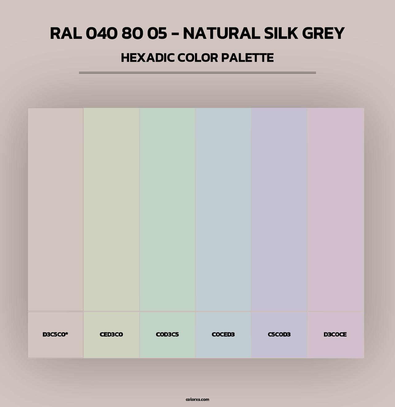 RAL 040 80 05 - Natural Silk Grey - Hexadic Color Palette