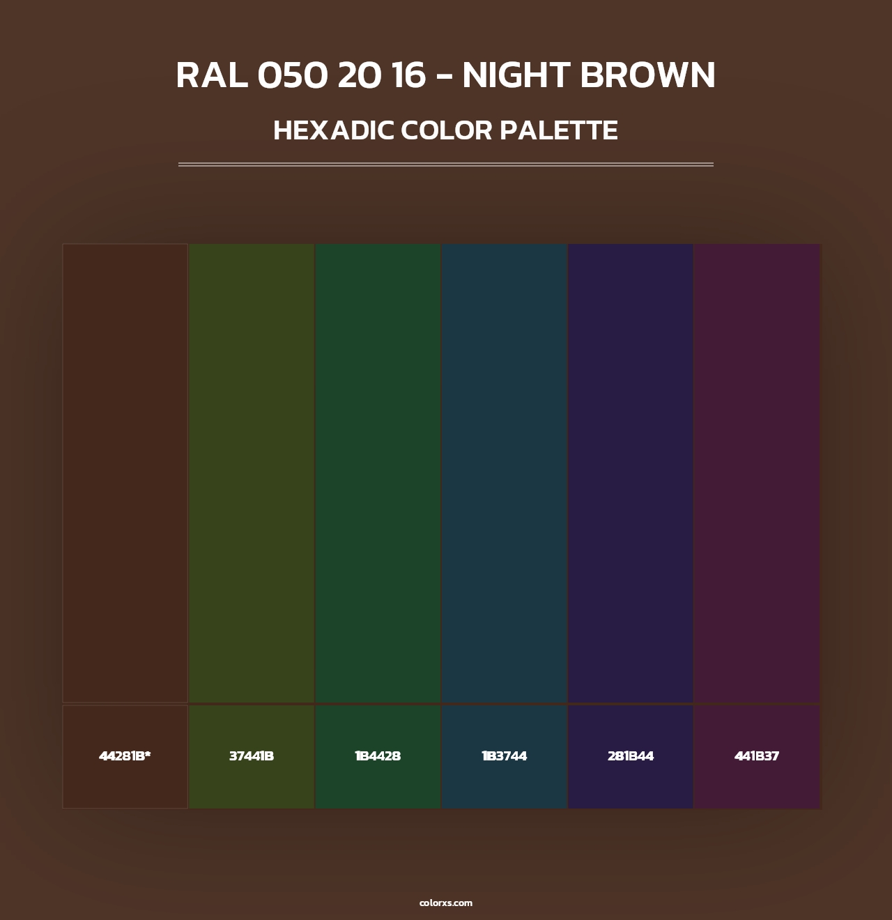 RAL 050 20 16 - Night Brown - Hexadic Color Palette
