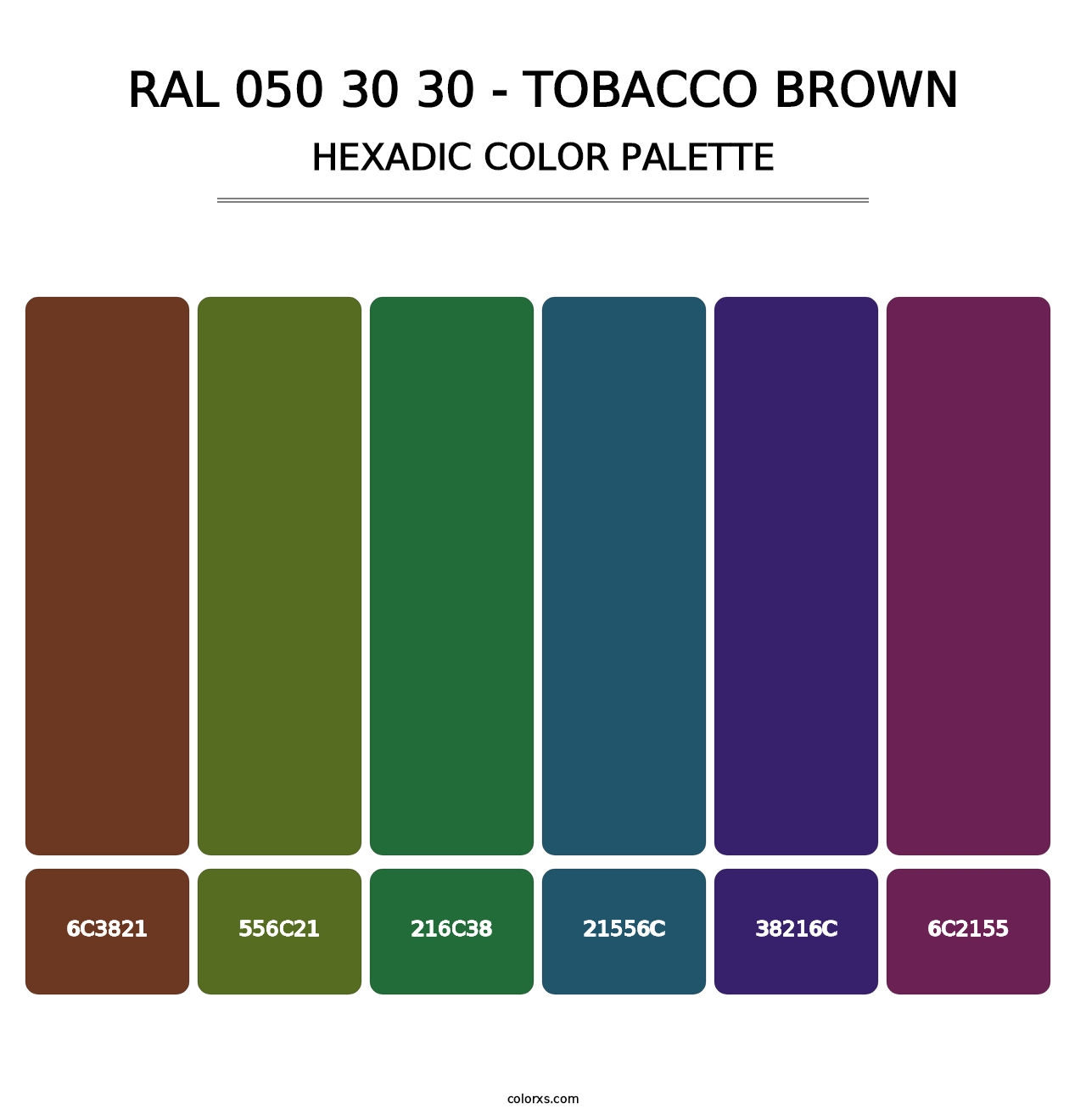 RAL 050 30 30 - Tobacco Brown - Hexadic Color Palette