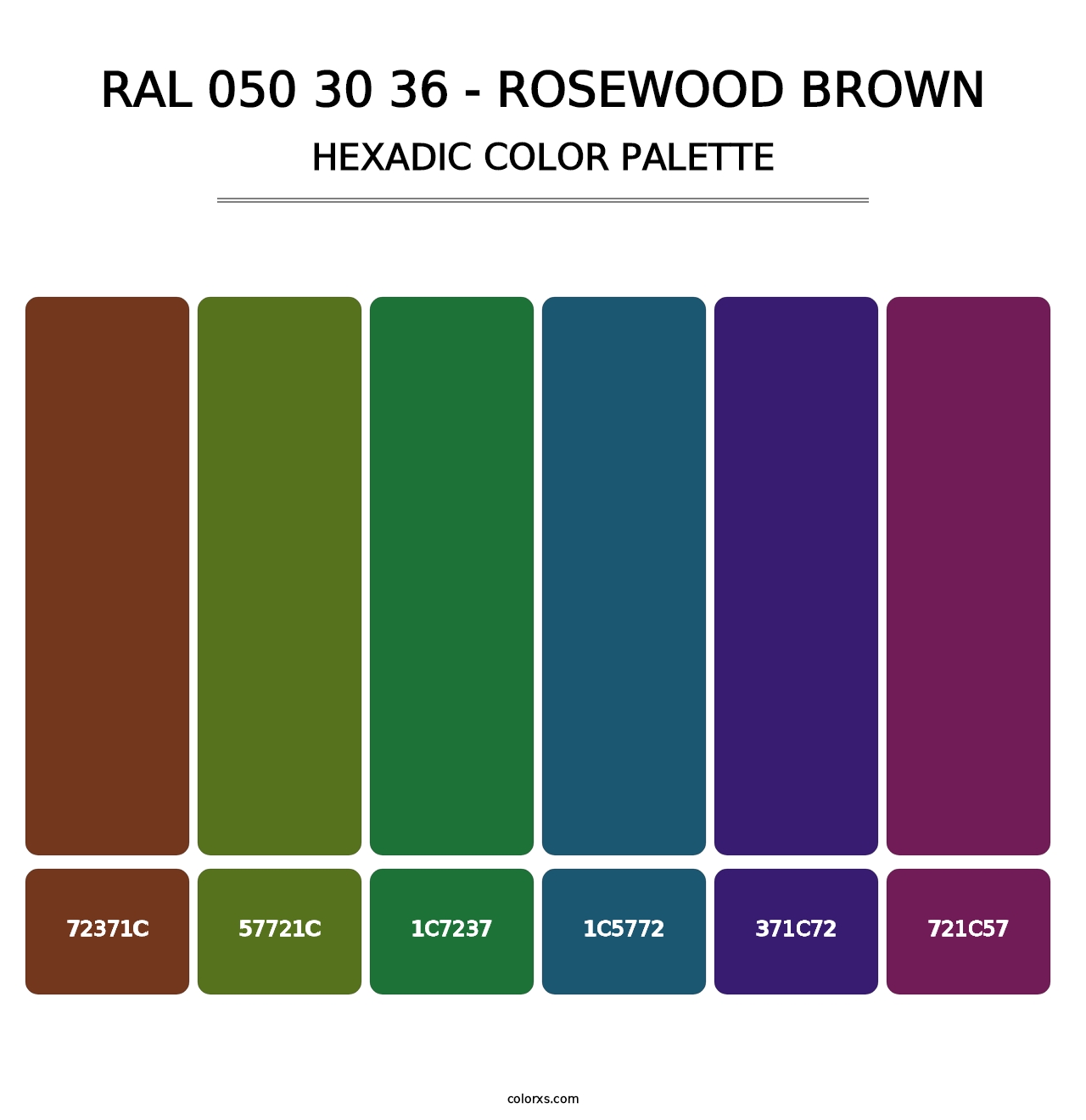 RAL 050 30 36 - Rosewood Brown - Hexadic Color Palette