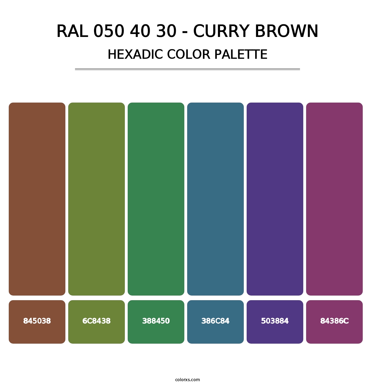 RAL 050 40 30 - Curry Brown - Hexadic Color Palette
