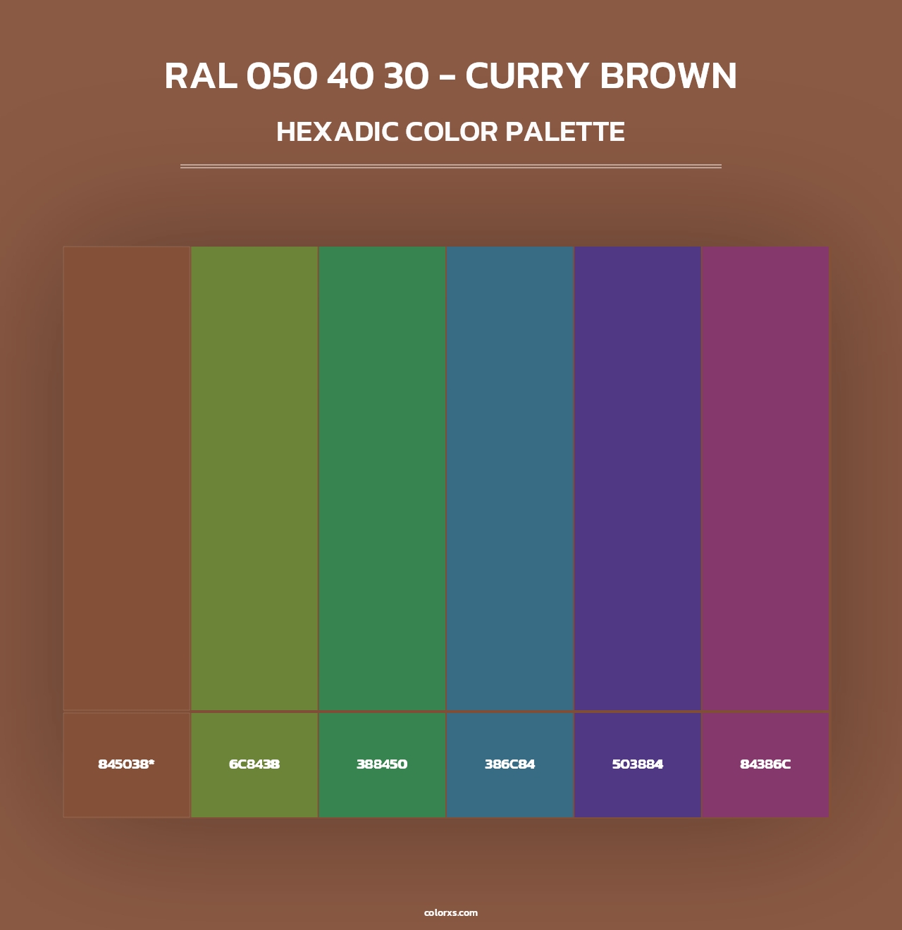 RAL 050 40 30 - Curry Brown - Hexadic Color Palette