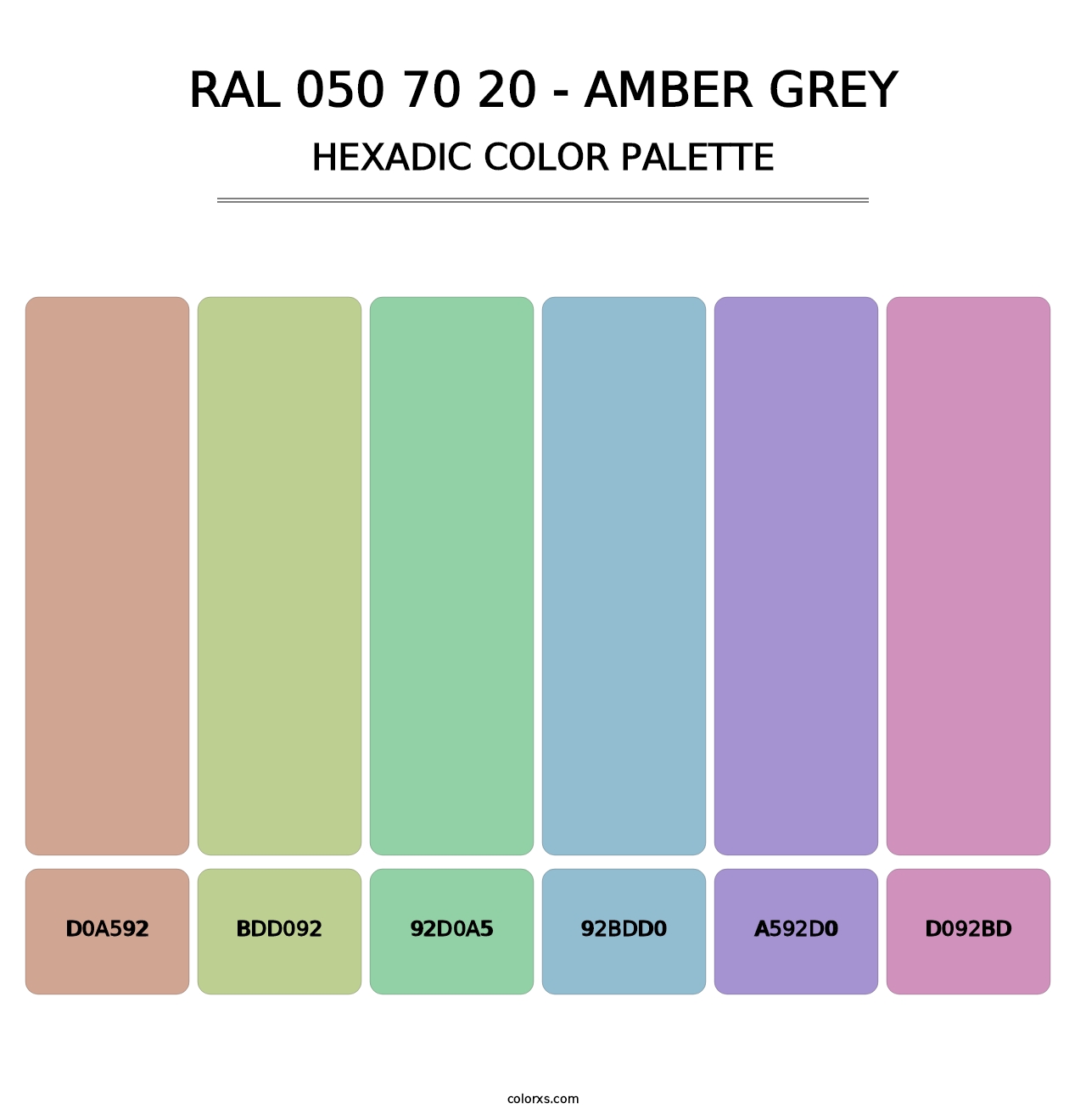 RAL 050 70 20 - Amber Grey - Hexadic Color Palette