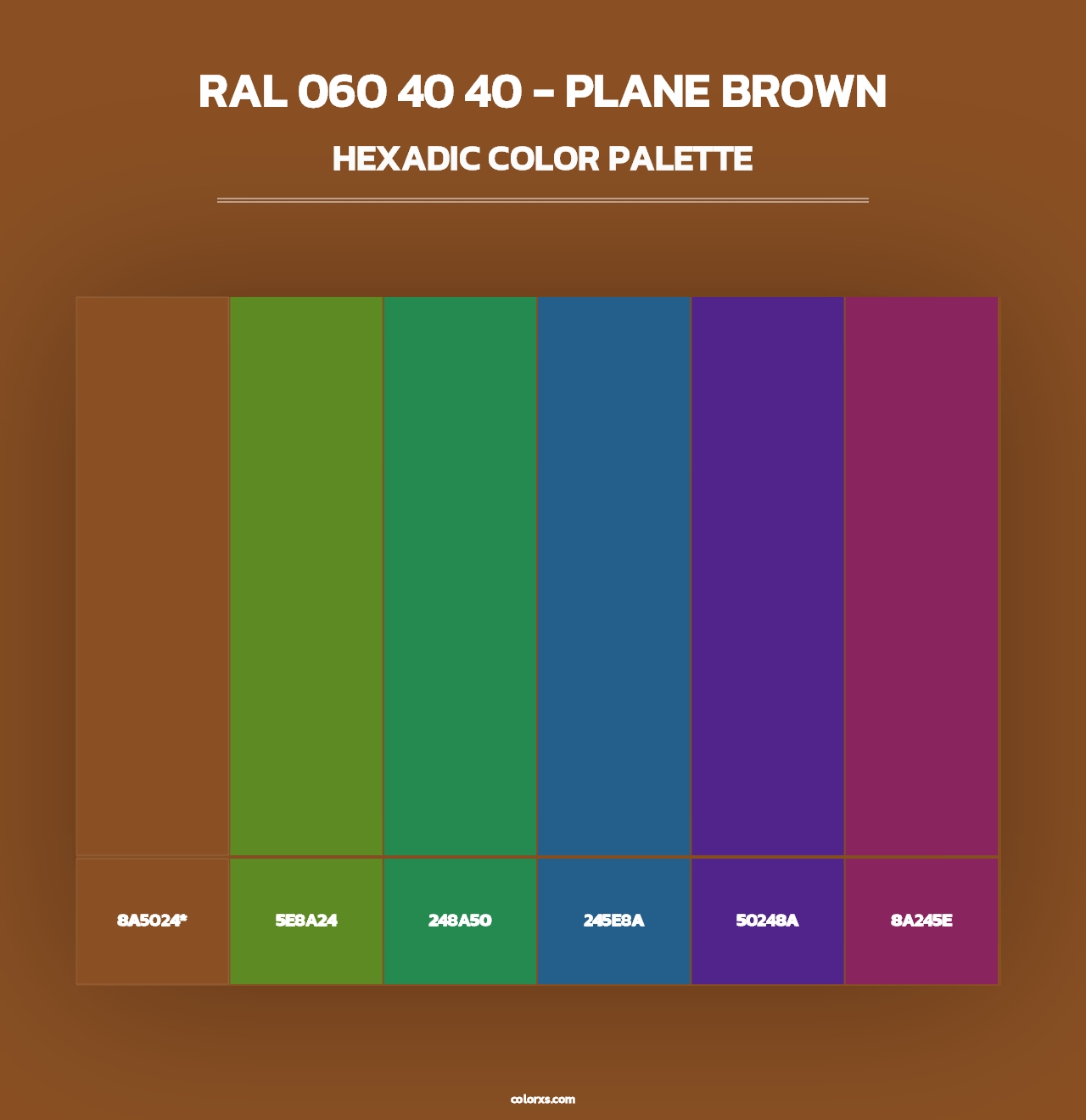 RAL 060 40 40 - Plane Brown - Hexadic Color Palette
