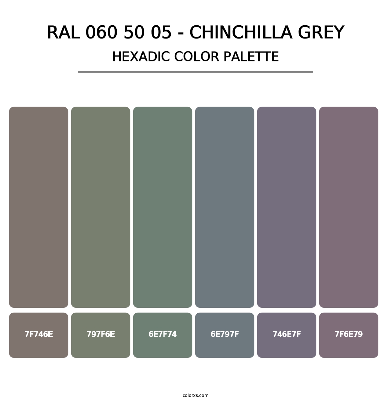 RAL 060 50 05 - Chinchilla Grey - Hexadic Color Palette