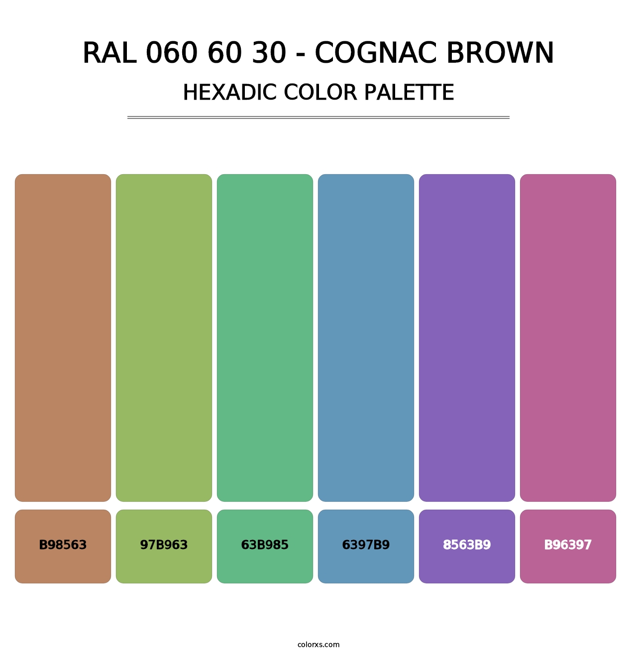 RAL 060 60 30 - Cognac Brown - Hexadic Color Palette
