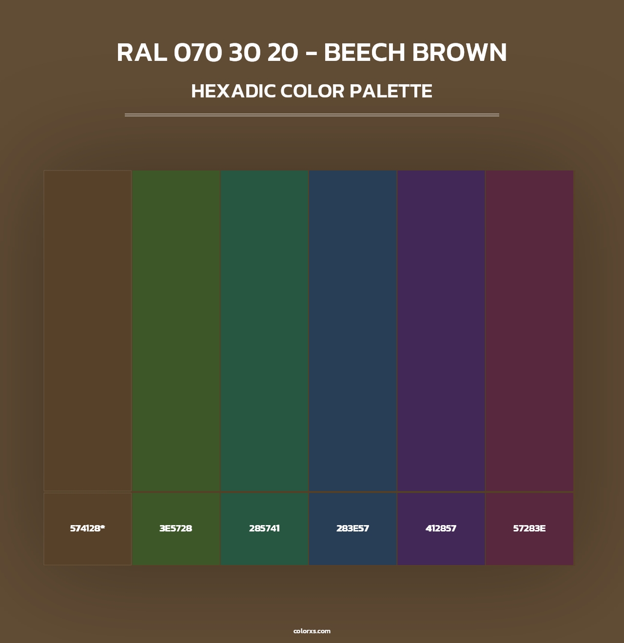 RAL 070 30 20 - Beech Brown - Hexadic Color Palette