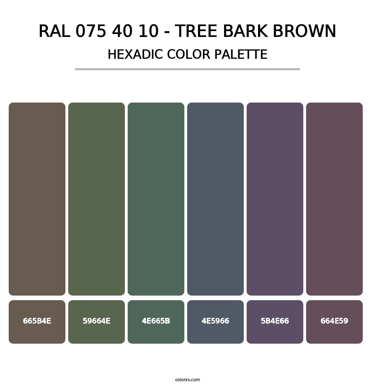 RAL 075 40 10 - Tree Bark Brown - Hexadic Color Palette