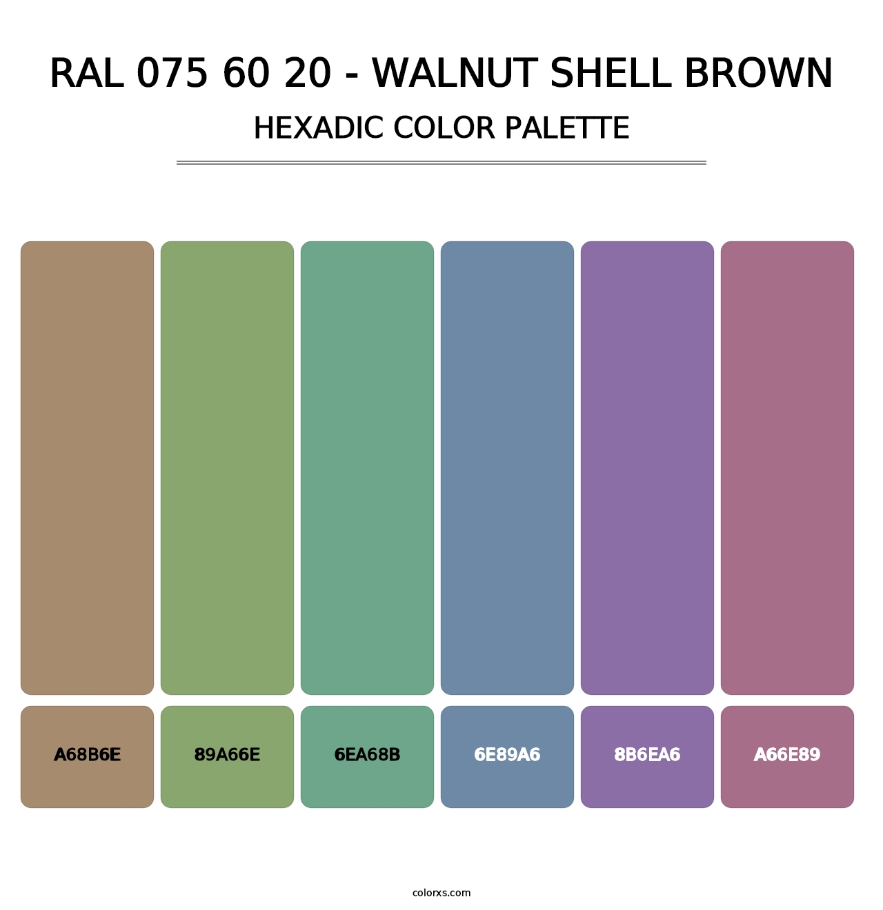 RAL 075 60 20 - Walnut Shell Brown - Hexadic Color Palette