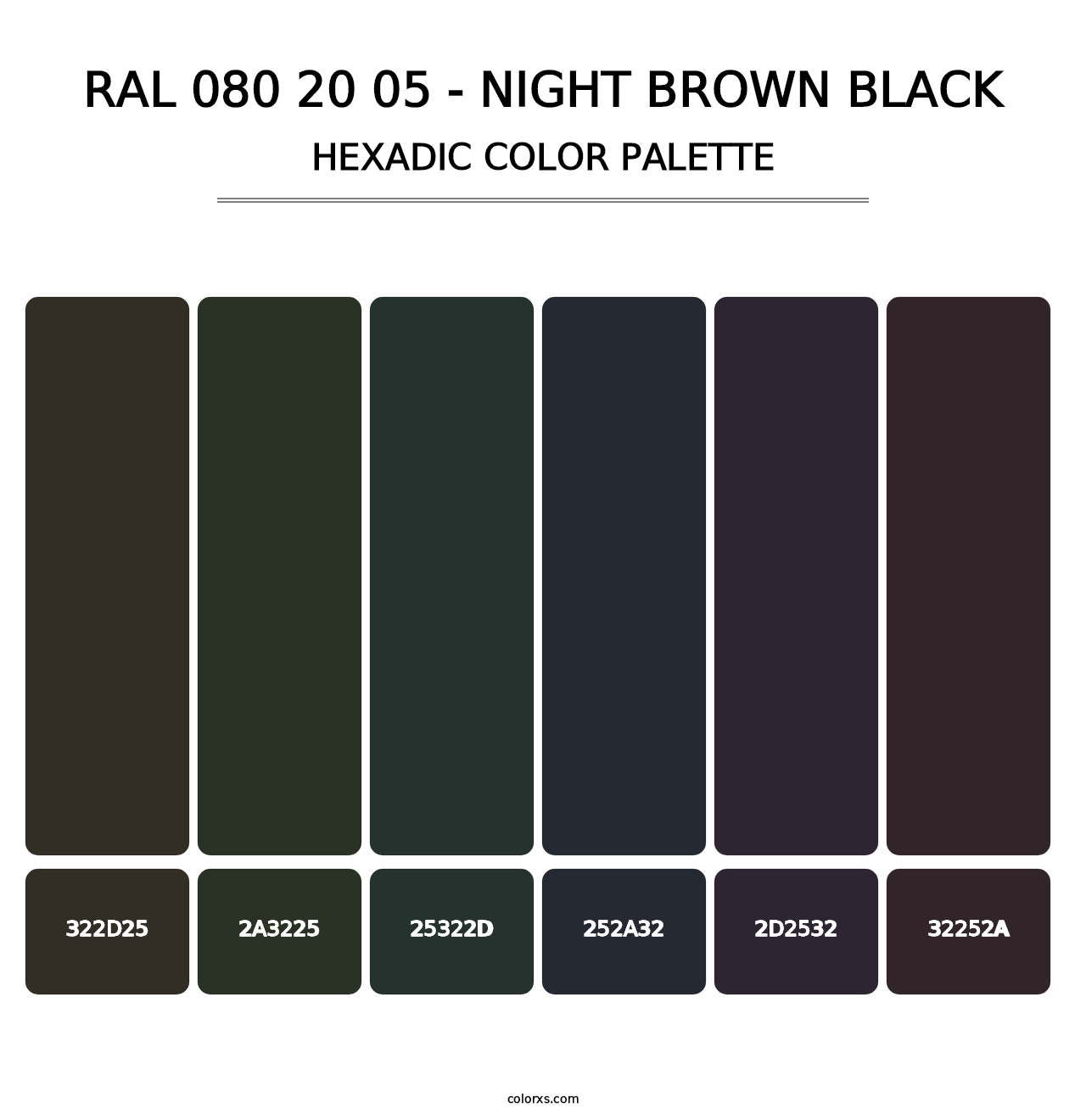 RAL 080 20 05 - Night Brown Black - Hexadic Color Palette