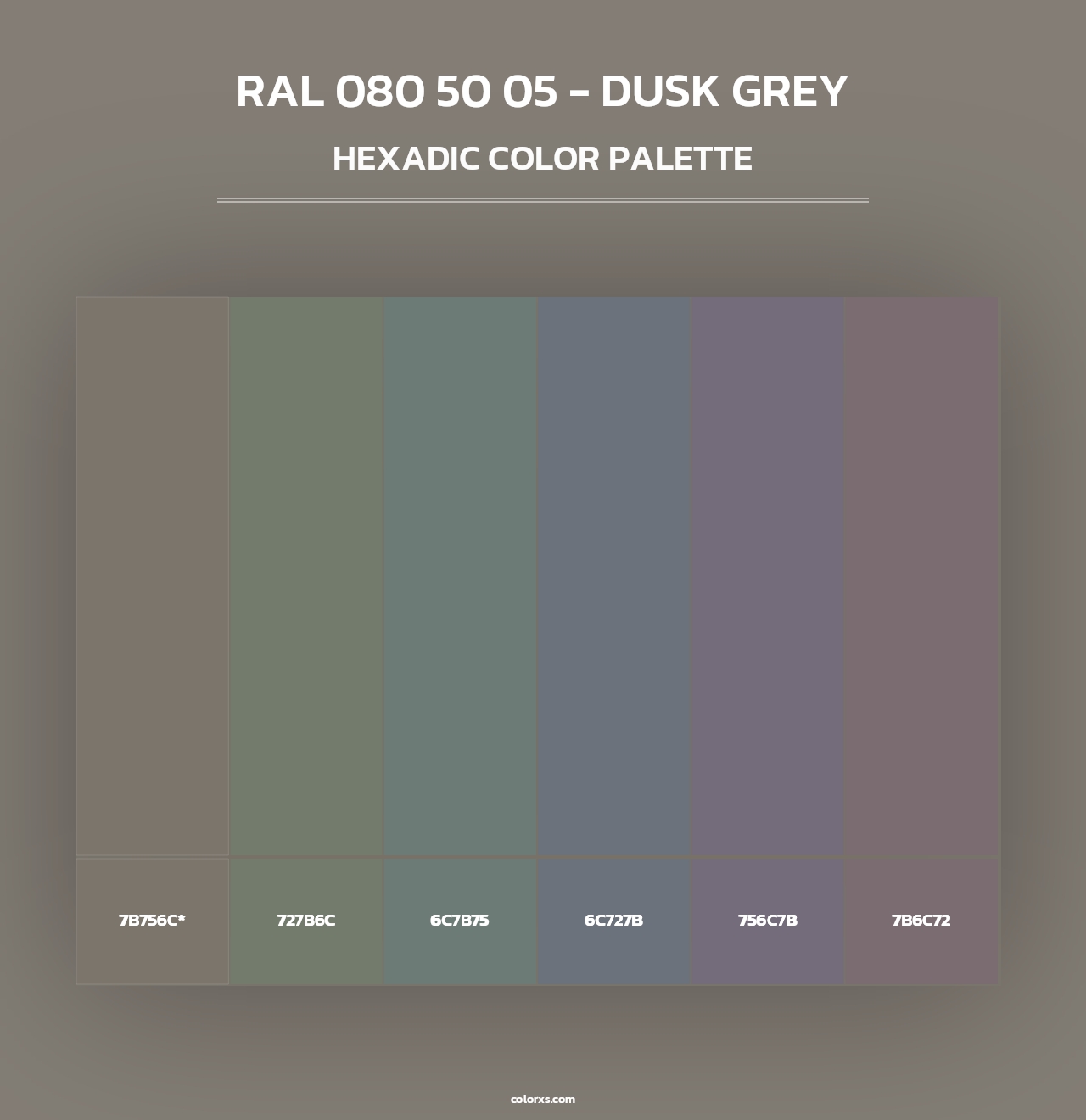 RAL 080 50 05 - Dusk Grey - Hexadic Color Palette