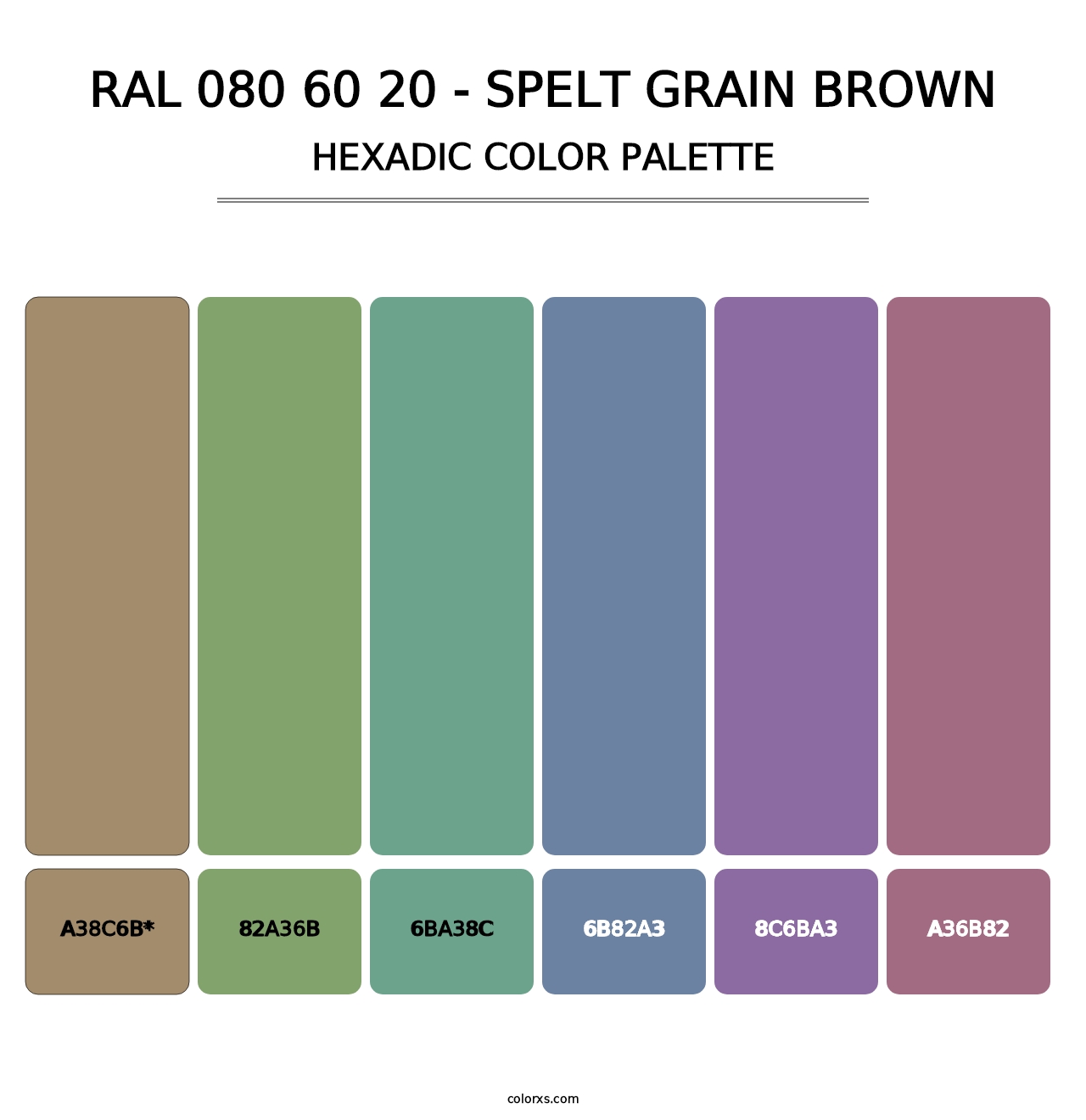 RAL 080 60 20 - Spelt Grain Brown - Hexadic Color Palette