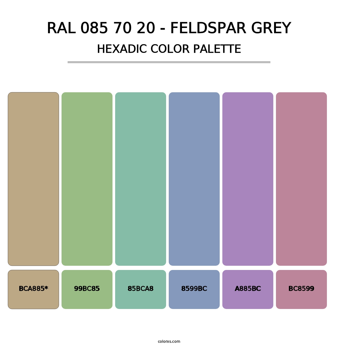 RAL 085 70 20 - Feldspar Grey - Hexadic Color Palette