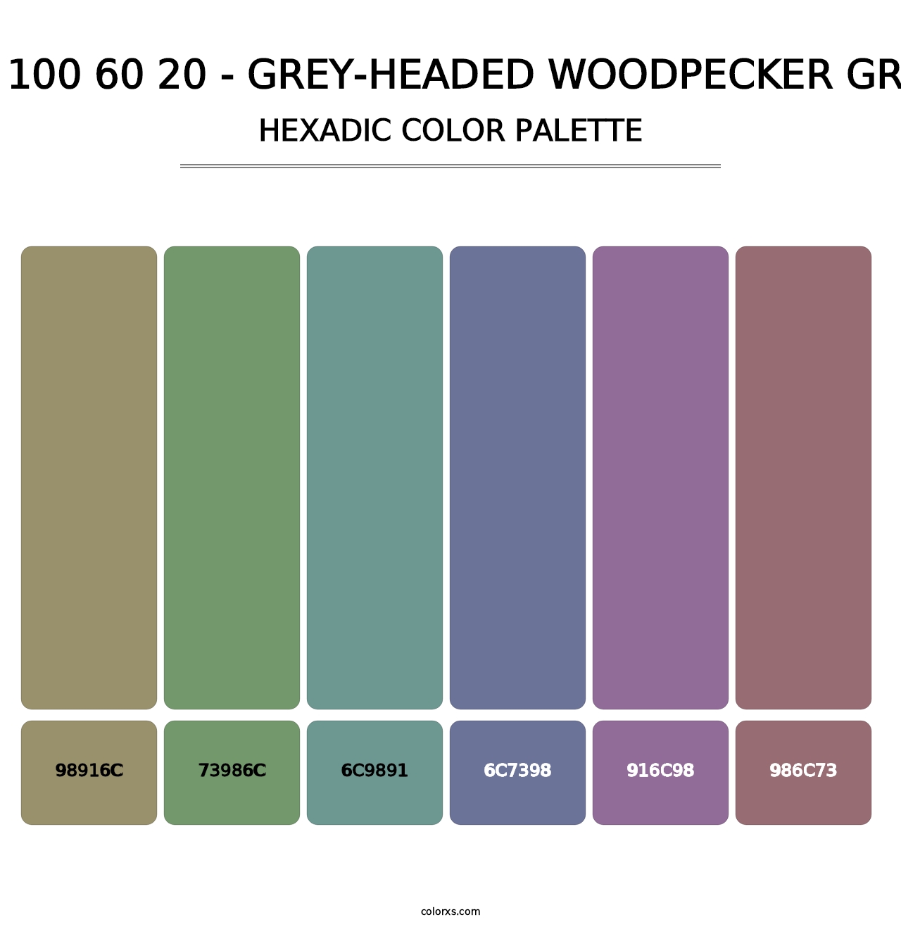 RAL 100 60 20 - Grey-Headed Woodpecker Green - Hexadic Color Palette