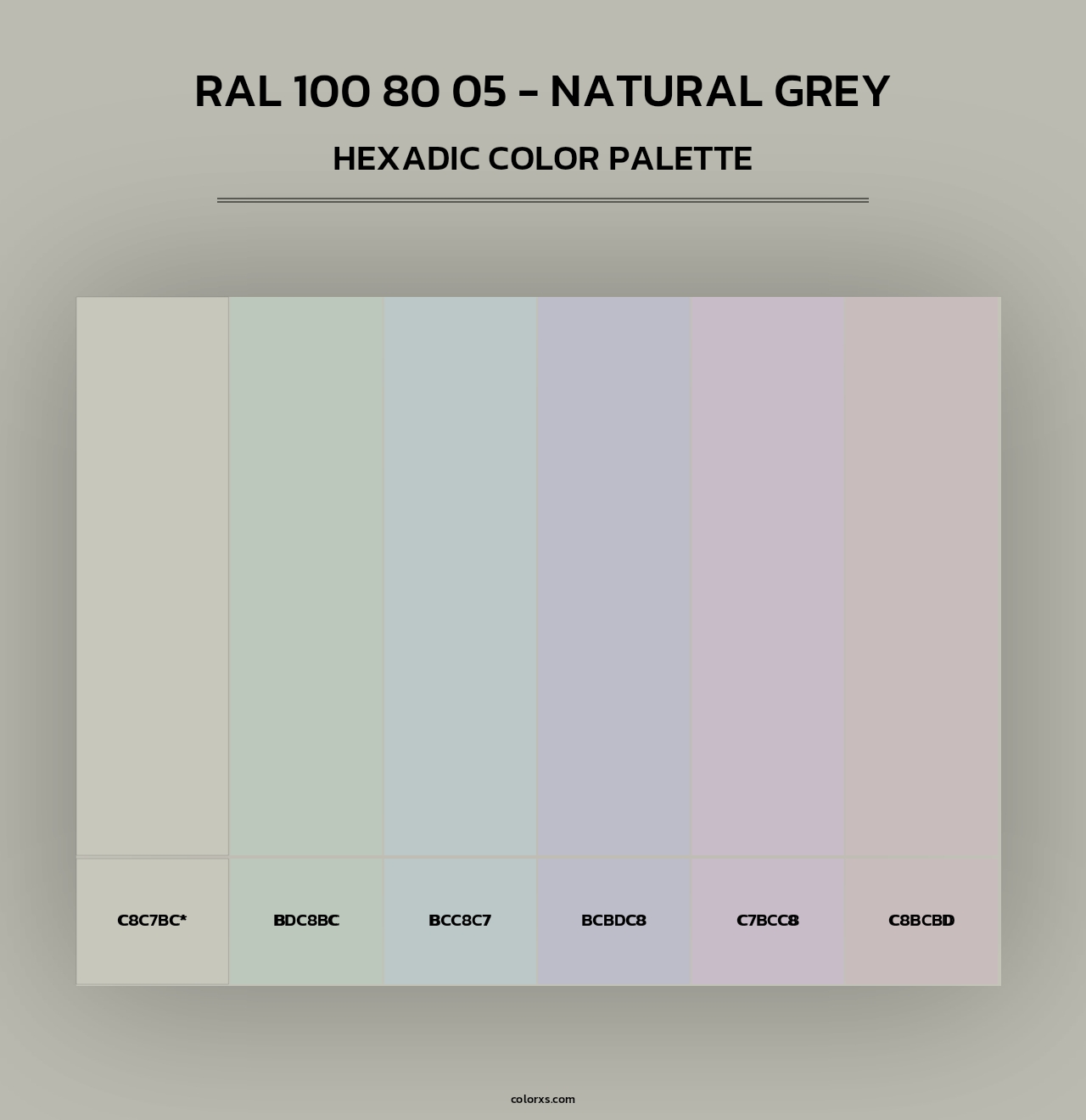 RAL 100 80 05 - Natural Grey - Hexadic Color Palette
