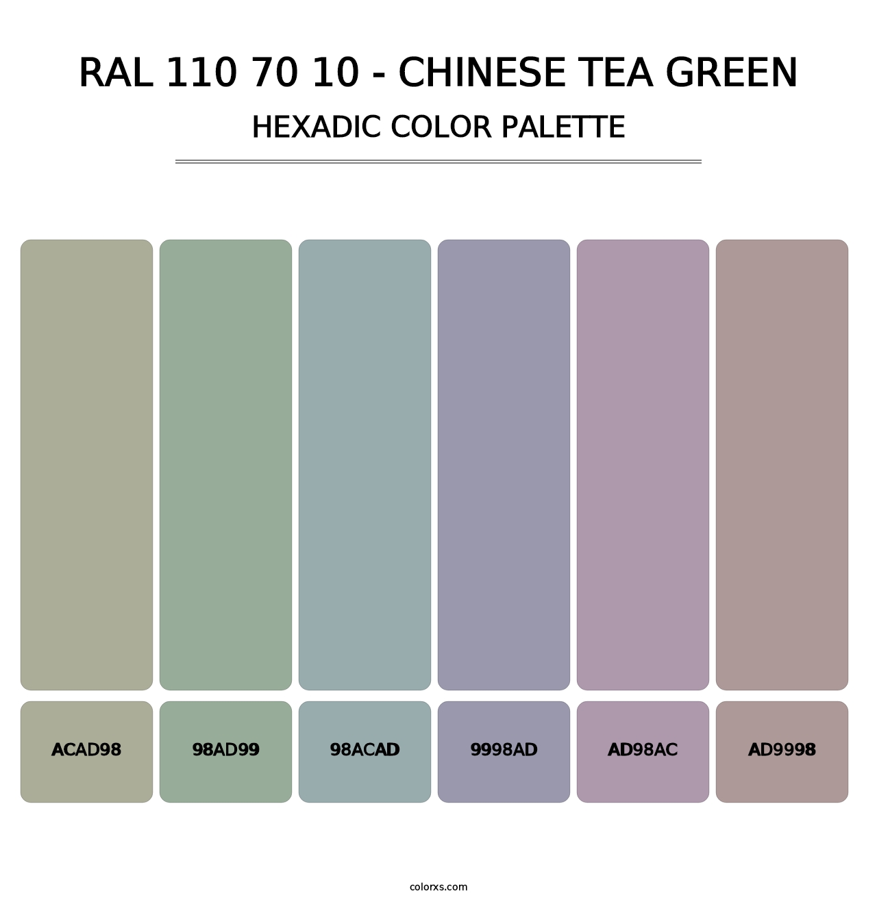 RAL 110 70 10 - Chinese Tea Green - Hexadic Color Palette