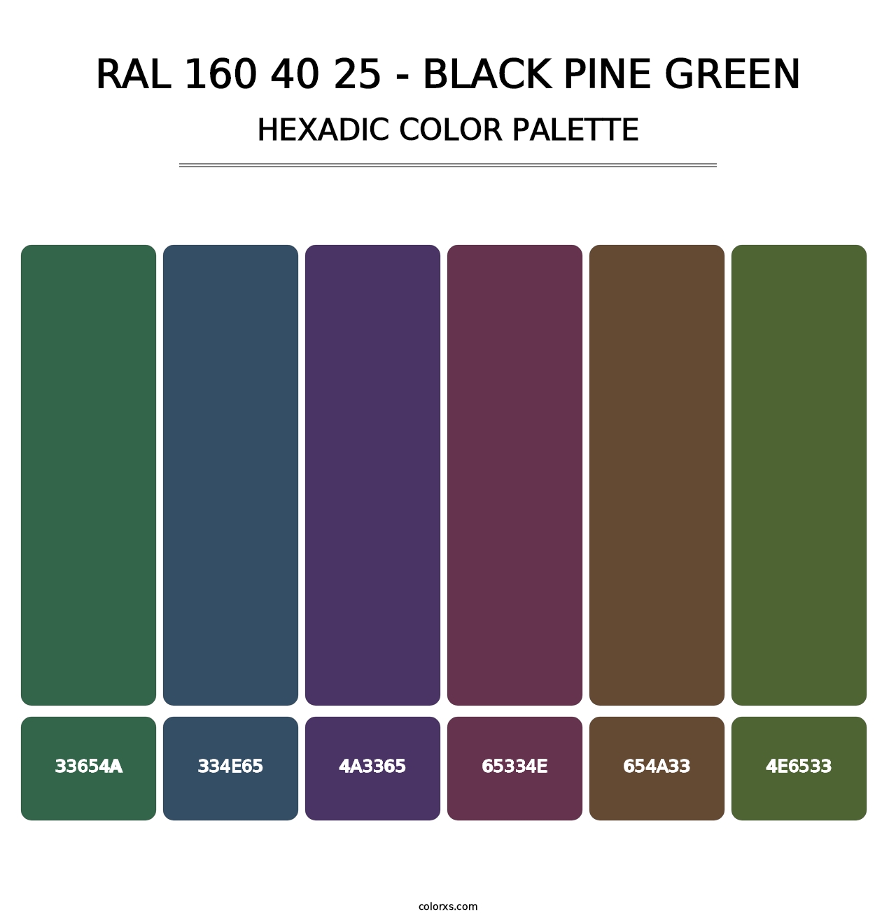 RAL 160 40 25 - Black Pine Green - Hexadic Color Palette