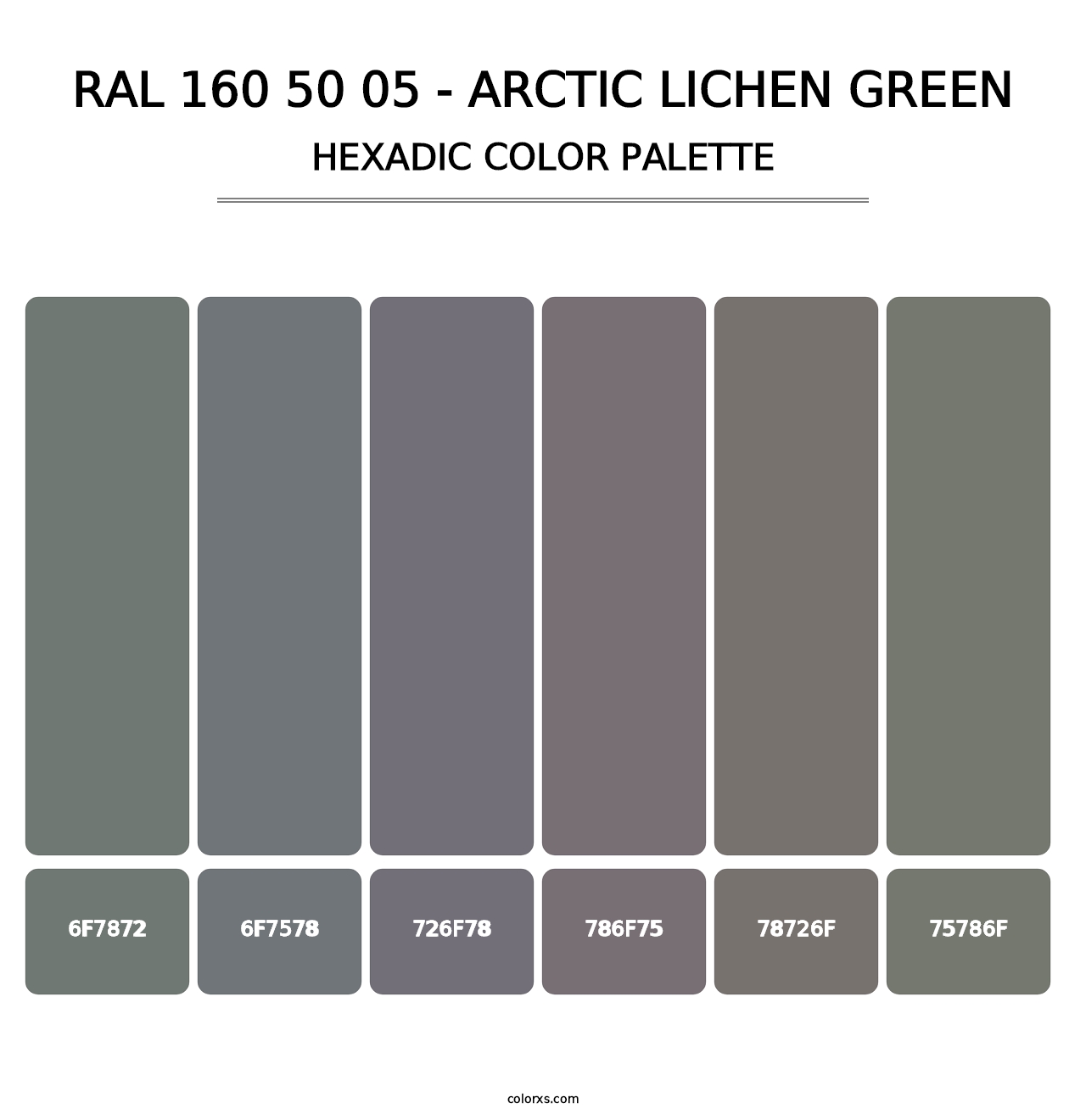 RAL 160 50 05 - Arctic Lichen Green - Hexadic Color Palette