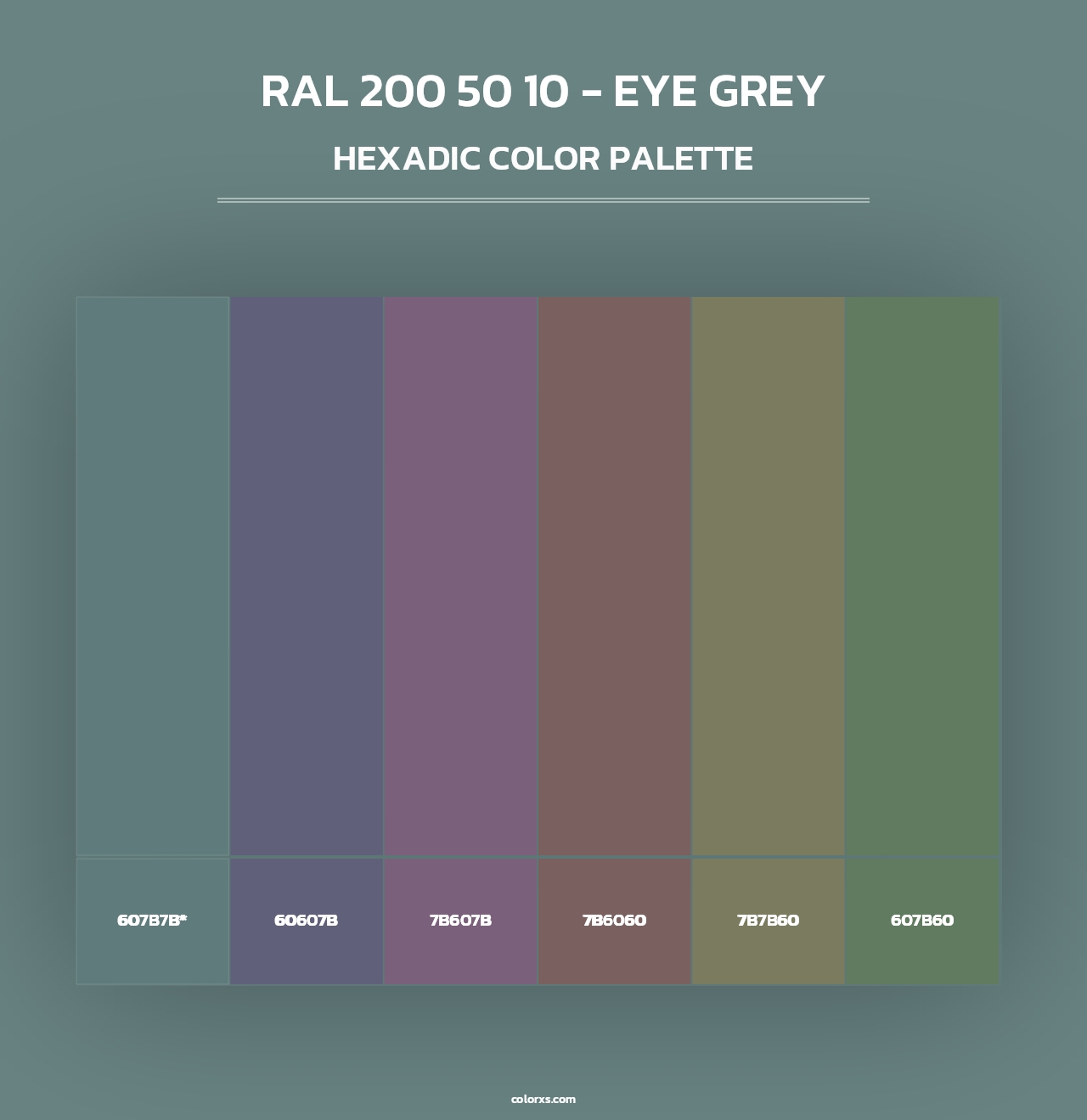 RAL 200 50 10 - Eye Grey - Hexadic Color Palette