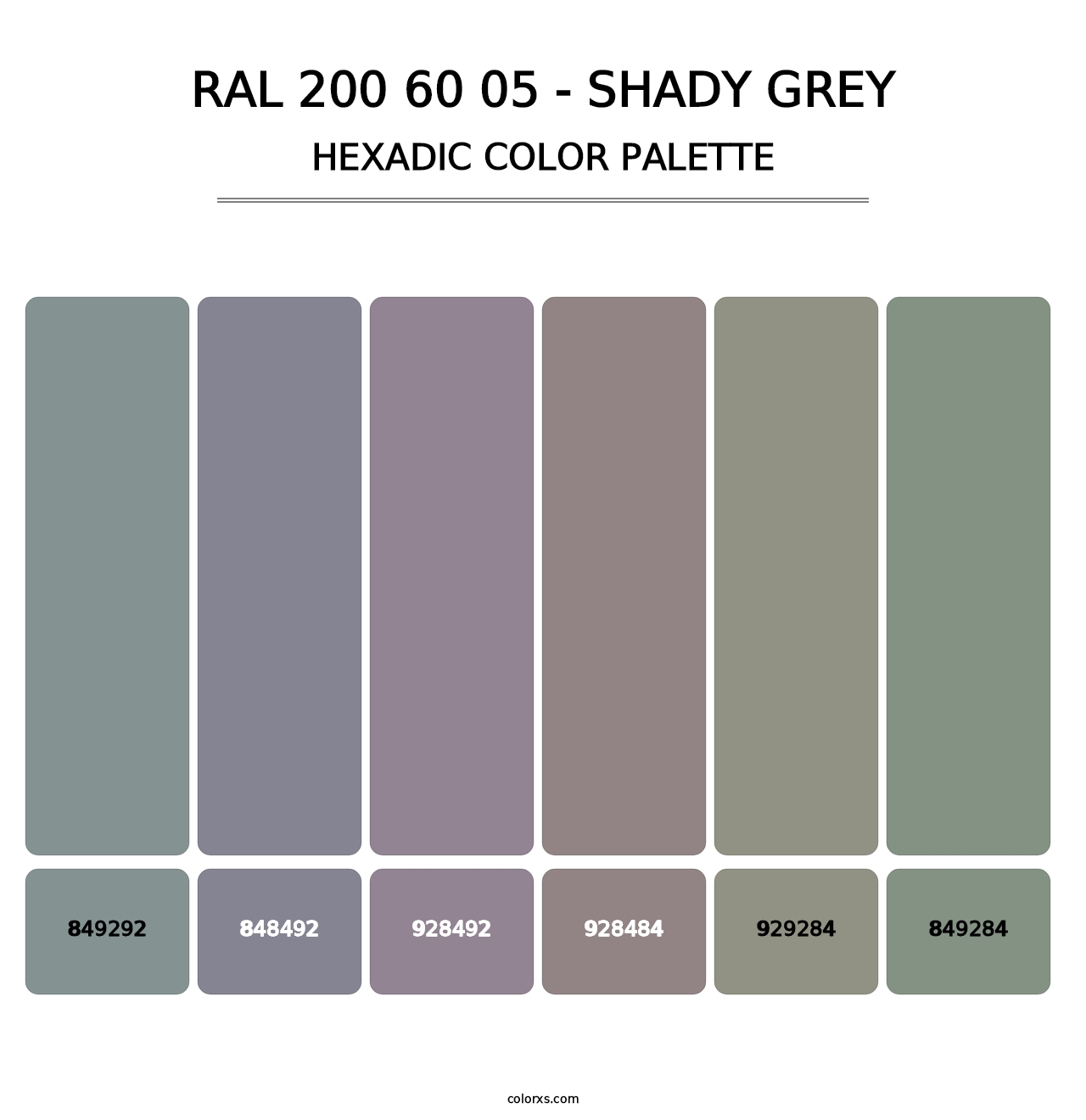 RAL 200 60 05 - Shady Grey - Hexadic Color Palette