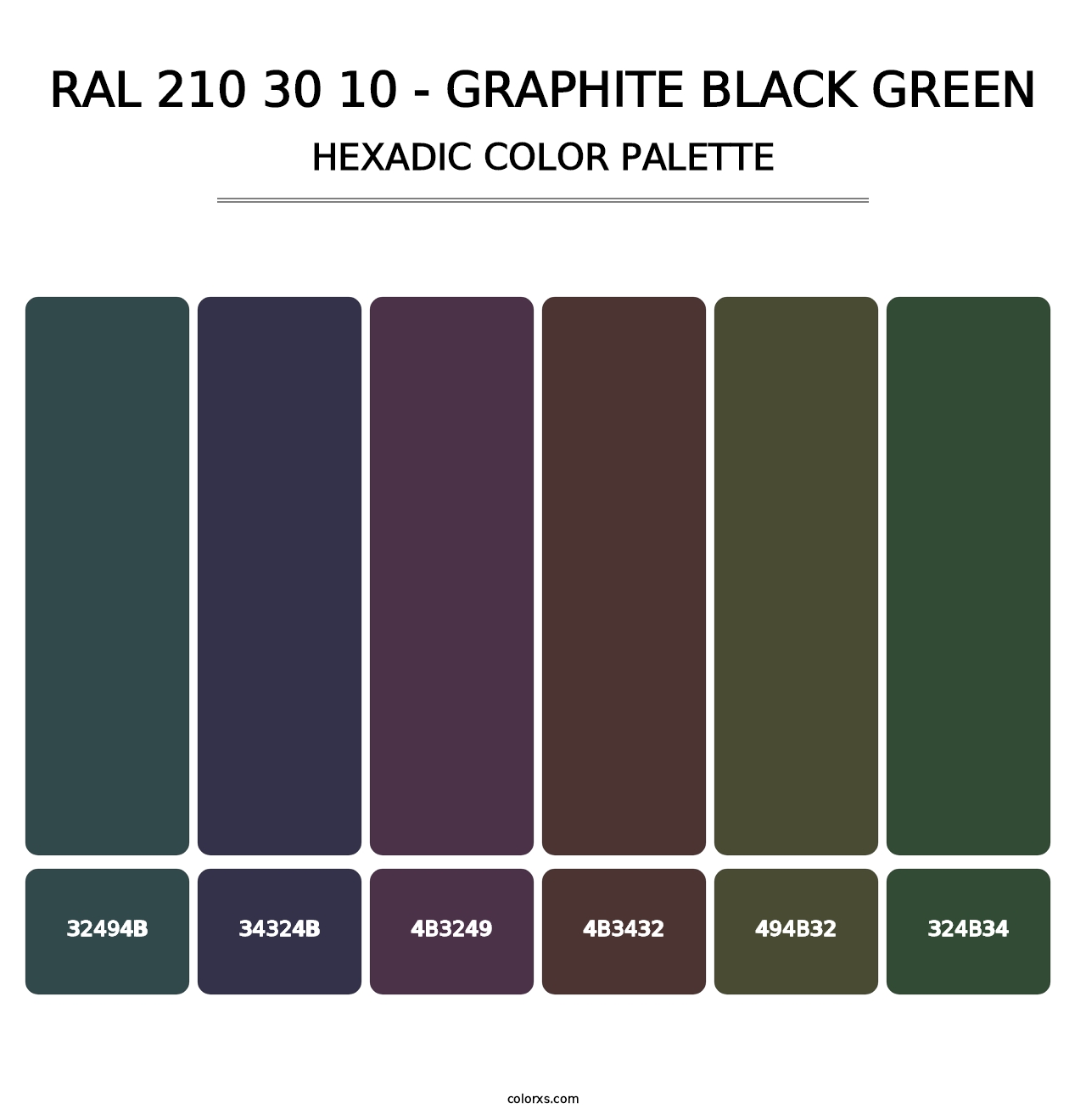 RAL 210 30 10 - Graphite Black Green - Hexadic Color Palette