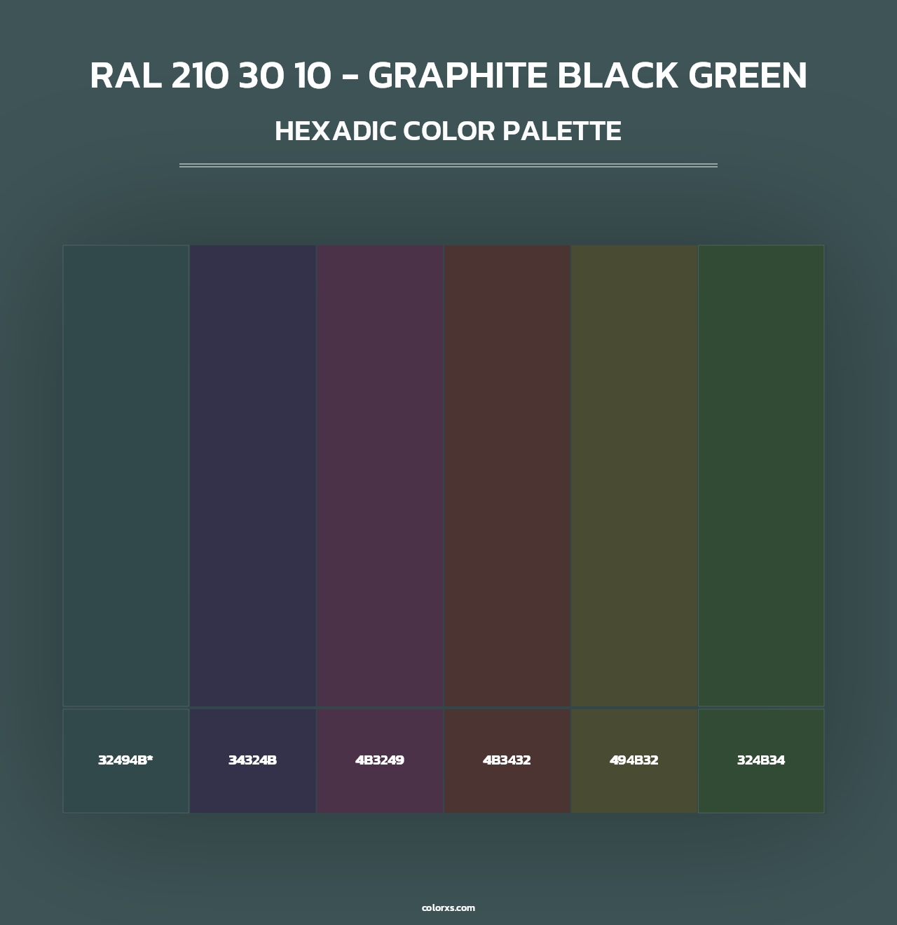 RAL 210 30 10 - Graphite Black Green color palettes - colorxs.com