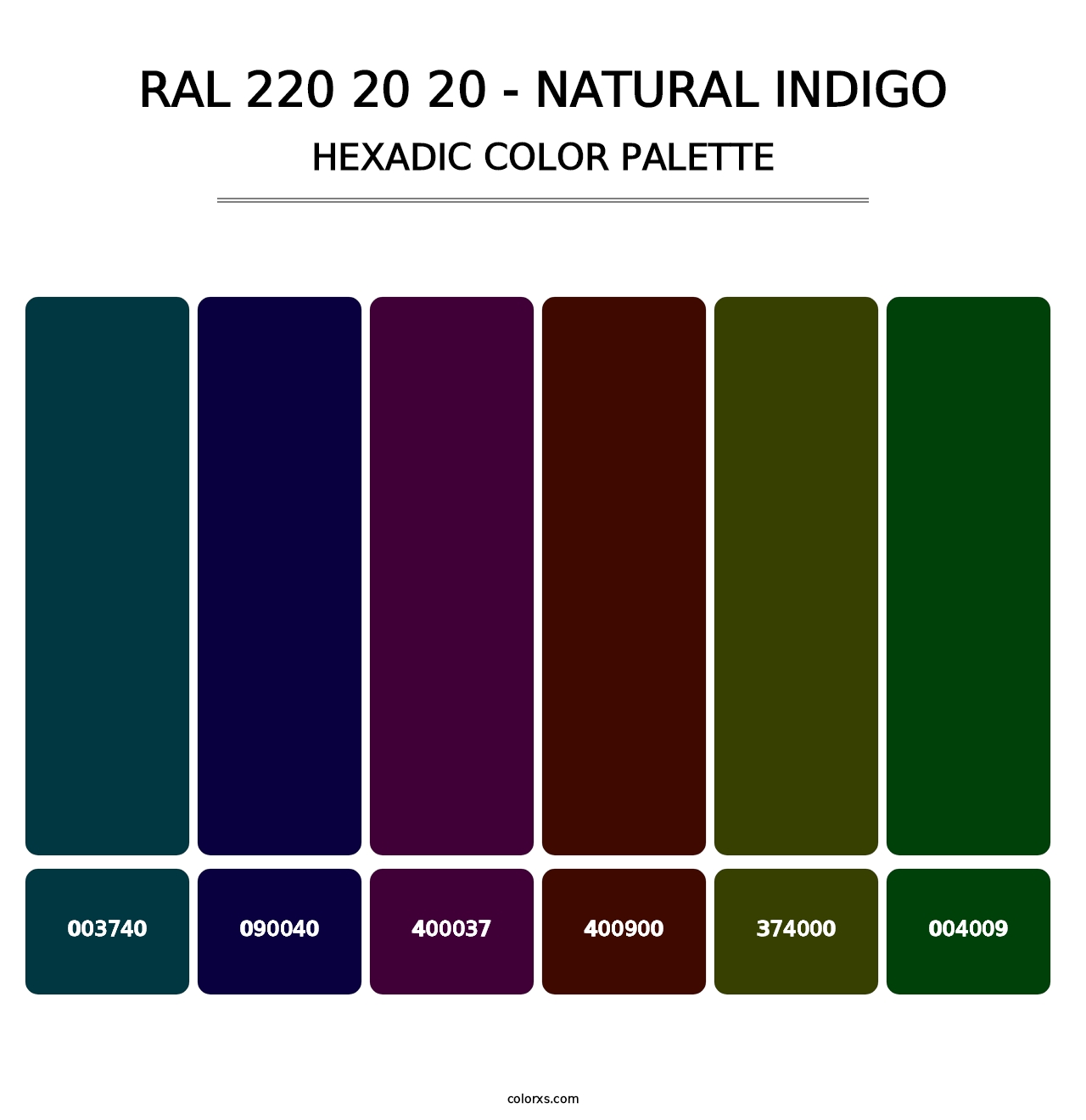 RAL 220 20 20 - Natural Indigo - Hexadic Color Palette