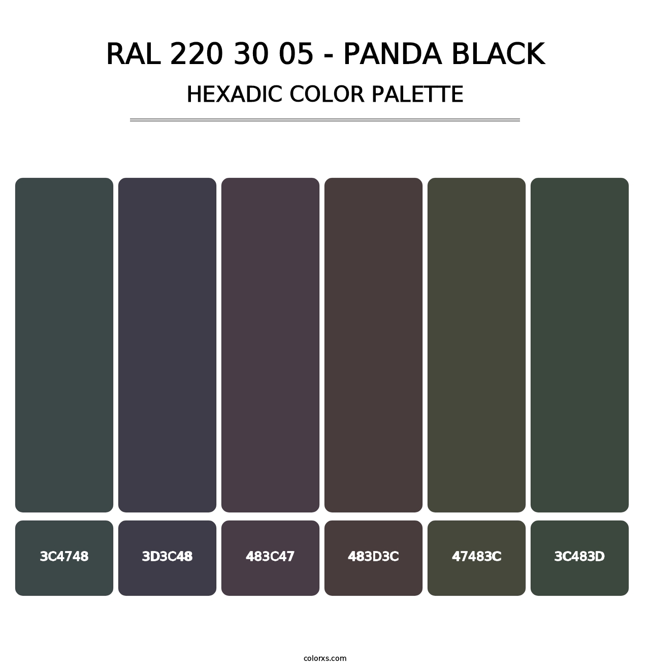 RAL 220 30 05 - Panda Black - Hexadic Color Palette