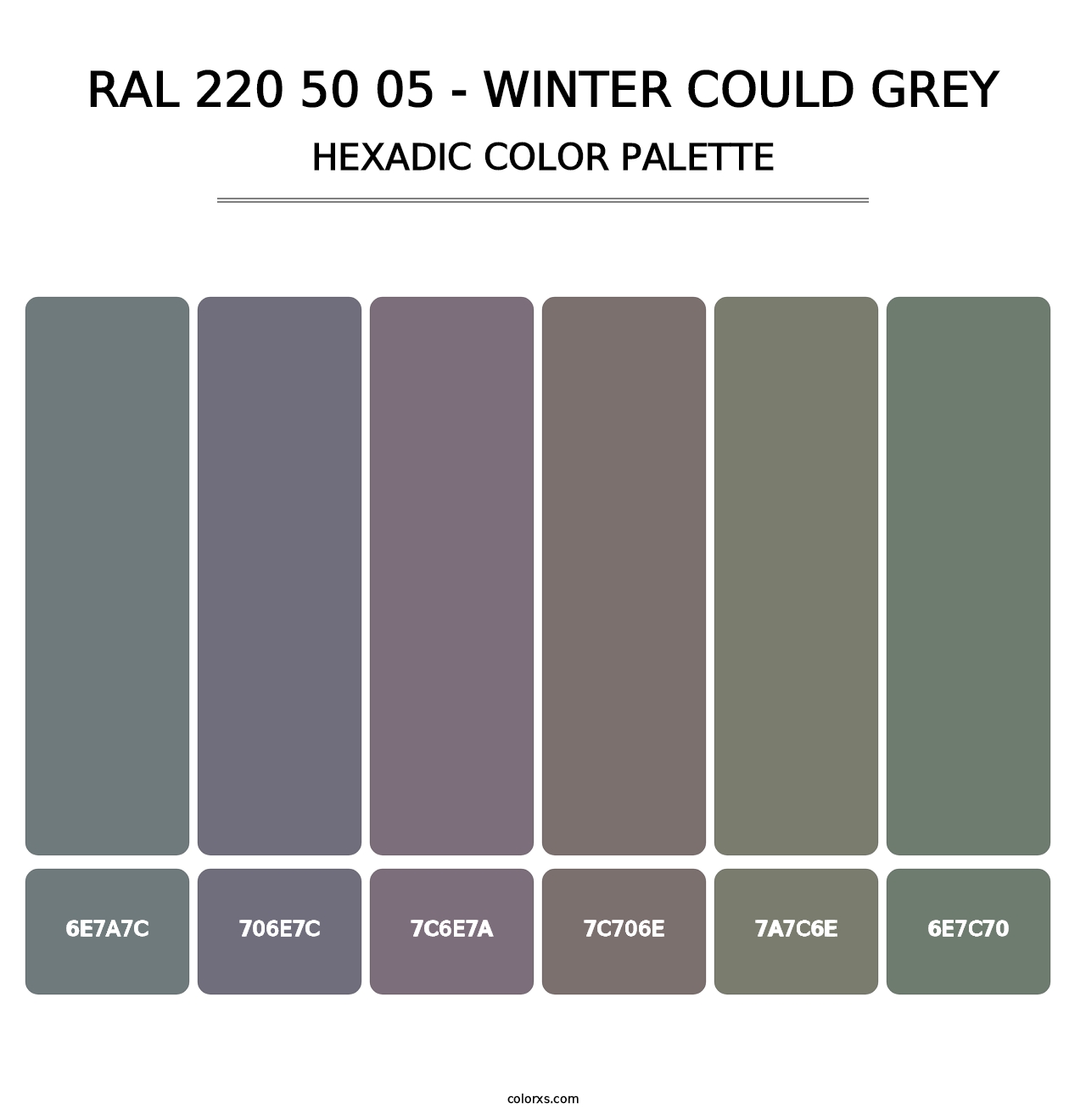 RAL 220 50 05 - Winter Could Grey - Hexadic Color Palette