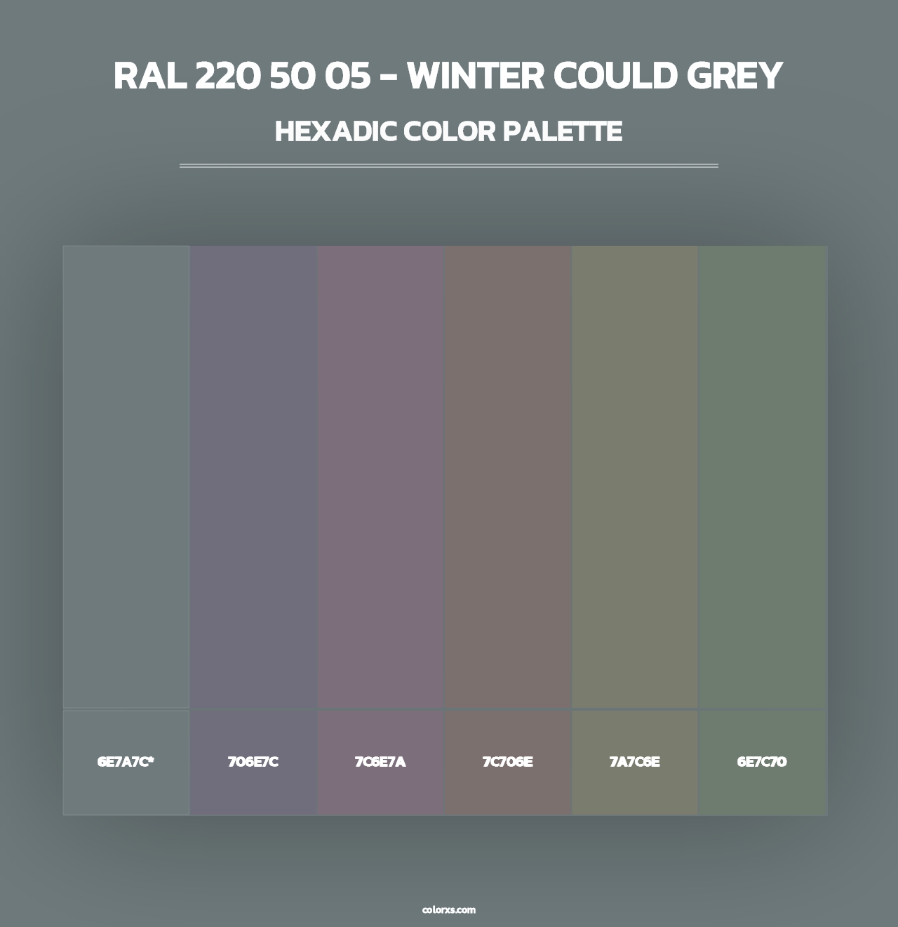 RAL 220 50 05 - Winter Could Grey - Hexadic Color Palette