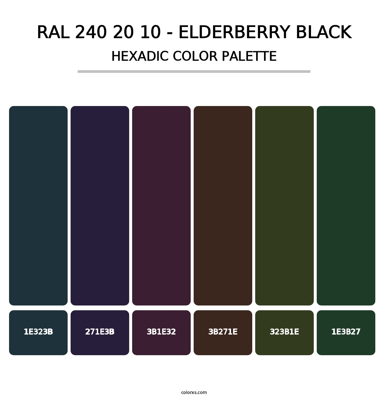 RAL 240 20 10 - Elderberry Black - Hexadic Color Palette