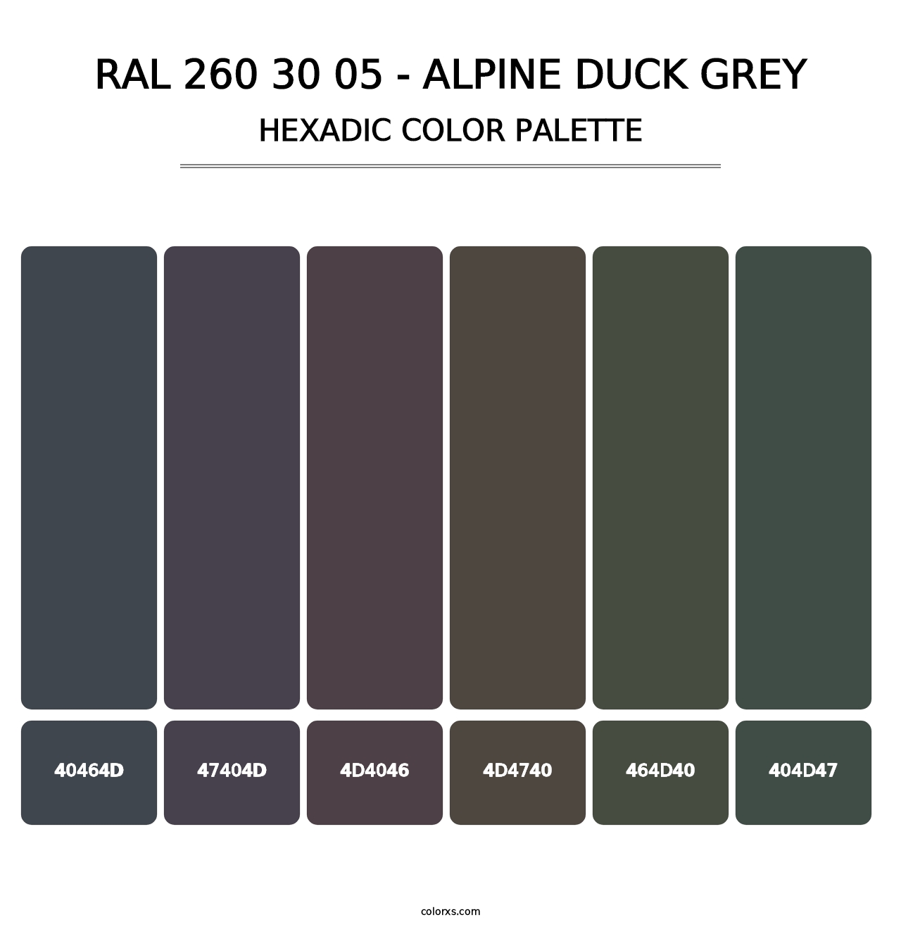 RAL 260 30 05 - Alpine Duck Grey - Hexadic Color Palette