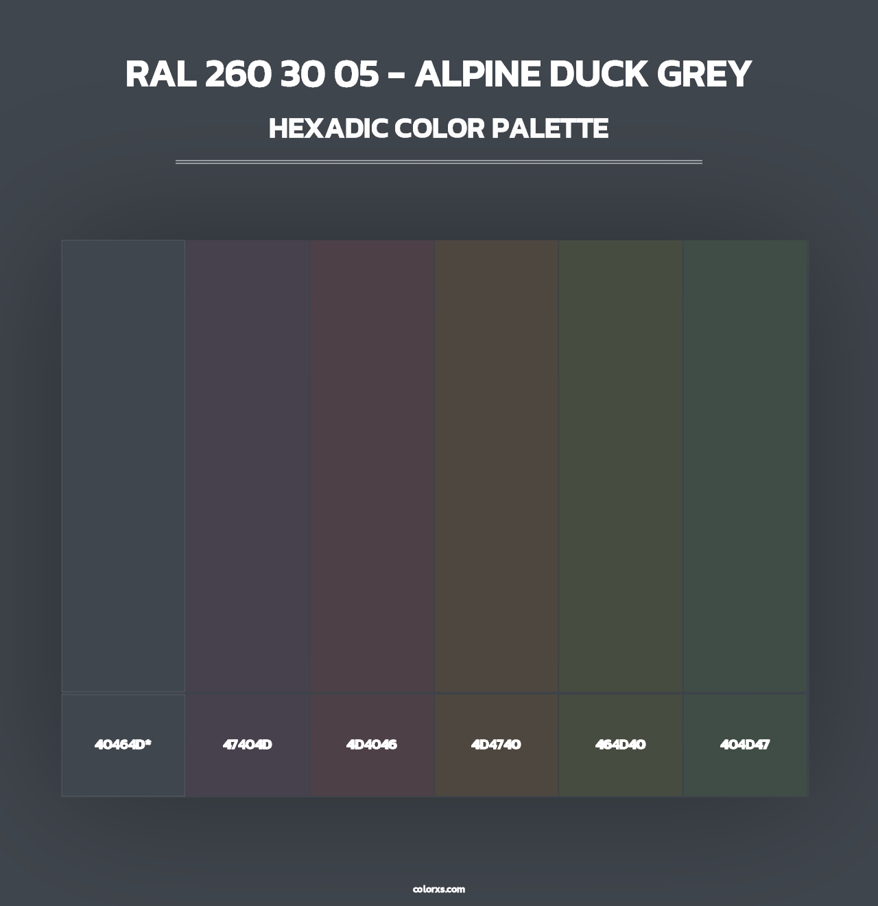 RAL 260 30 05 - Alpine Duck Grey - Hexadic Color Palette