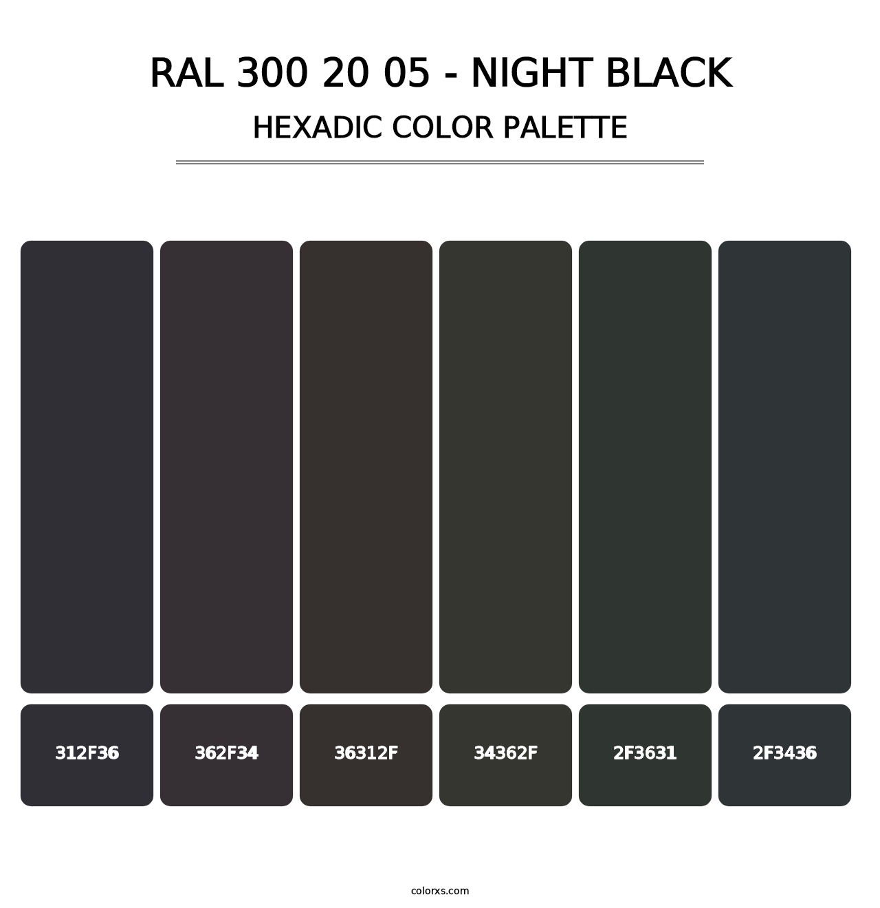 RAL 300 20 05 - Night Black - Hexadic Color Palette