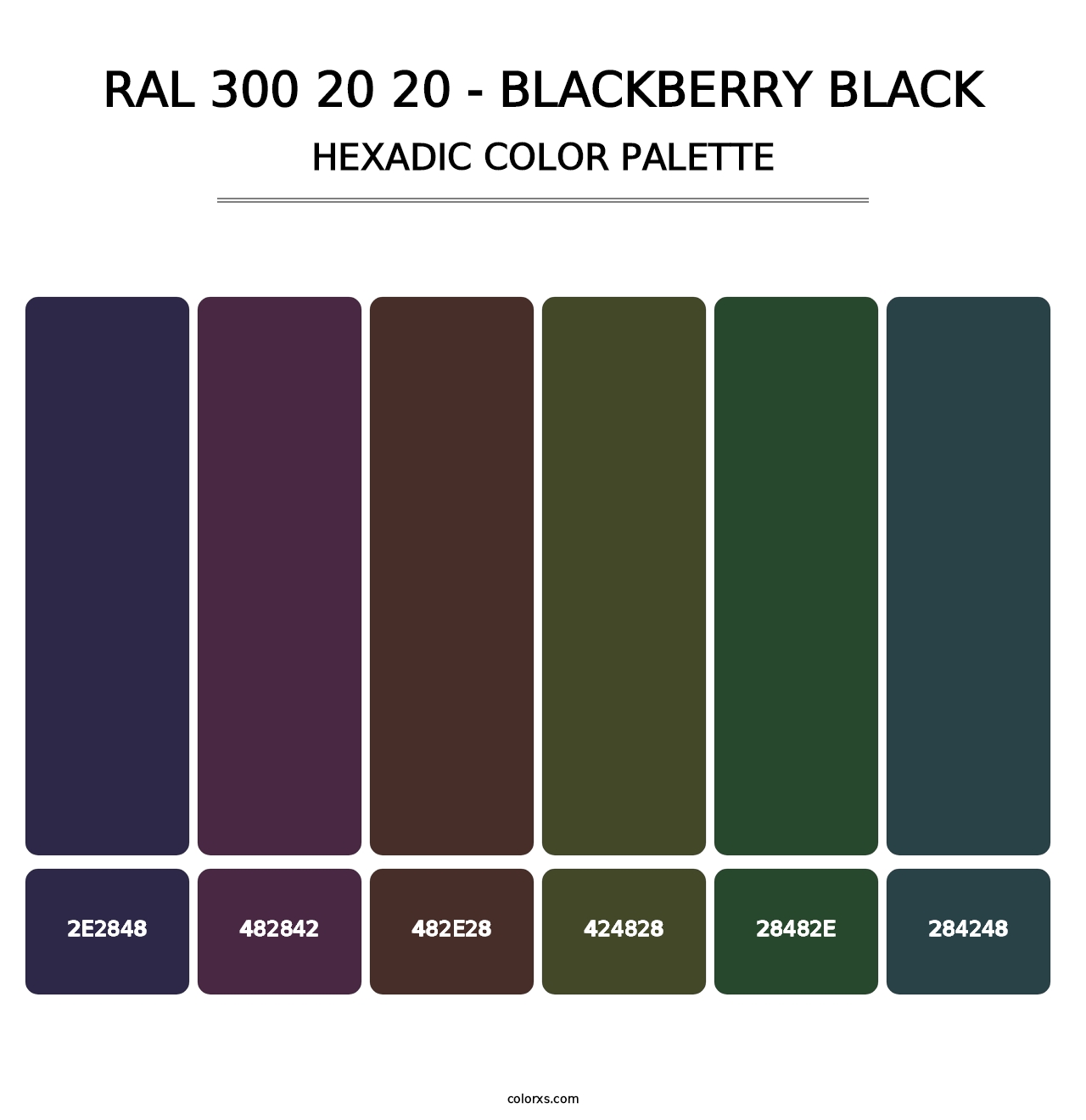 RAL 300 20 20 - Blackberry Black - Hexadic Color Palette