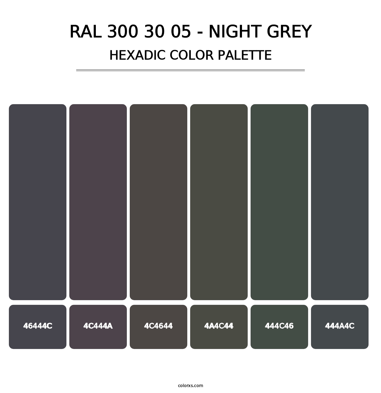 RAL 300 30 05 - Night Grey - Hexadic Color Palette