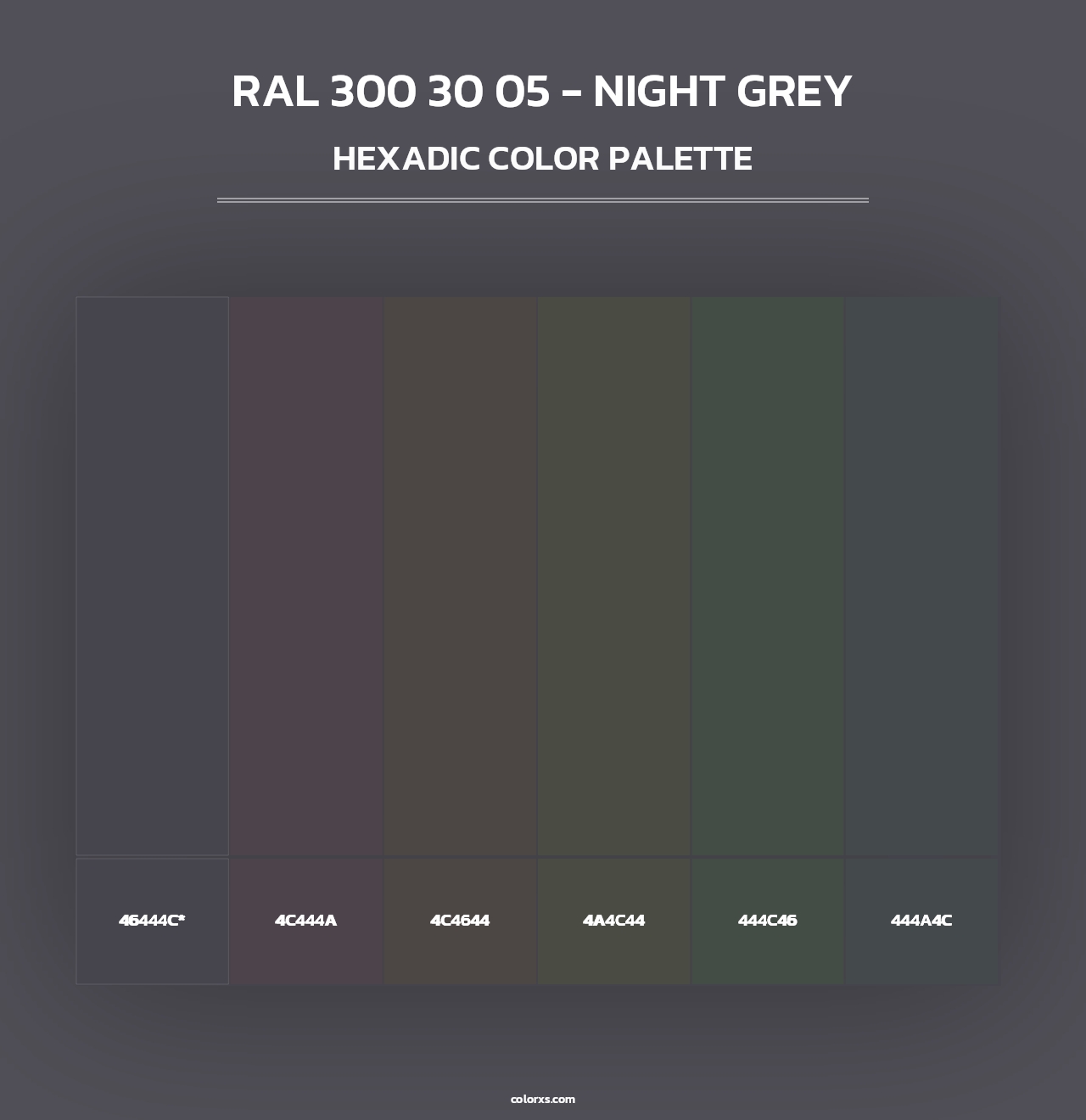 RAL 300 30 05 - Night Grey - Hexadic Color Palette
