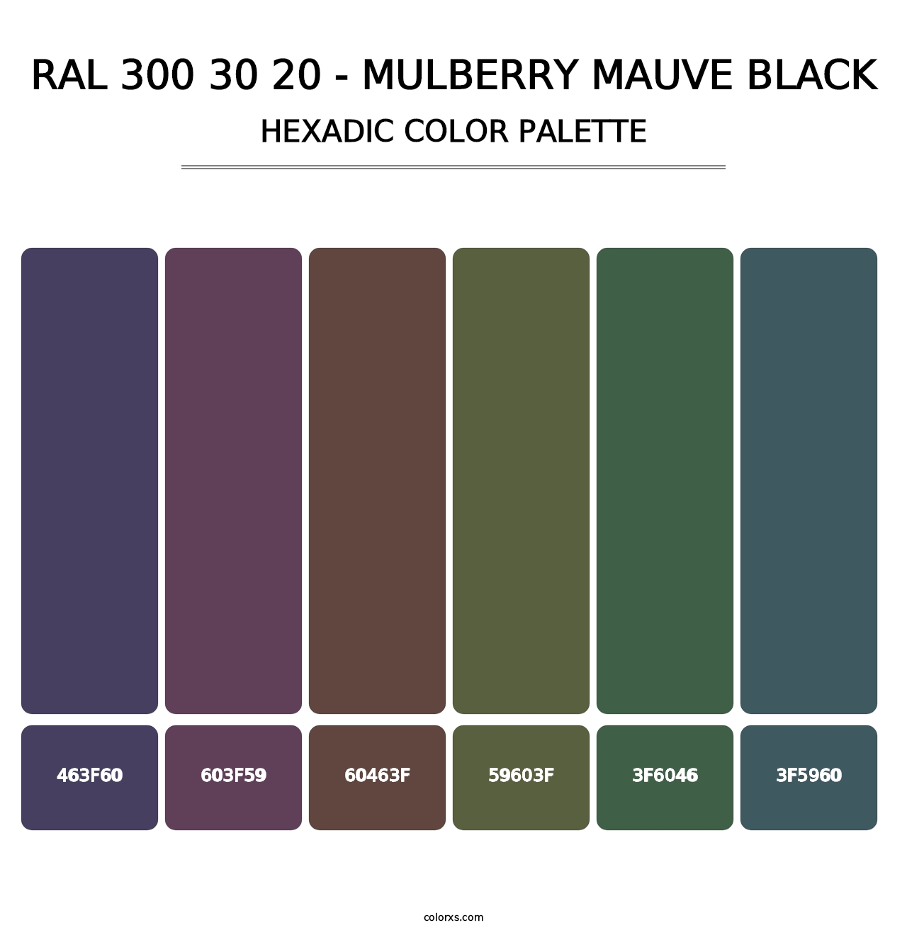RAL 300 30 20 - Mulberry Mauve Black - Hexadic Color Palette